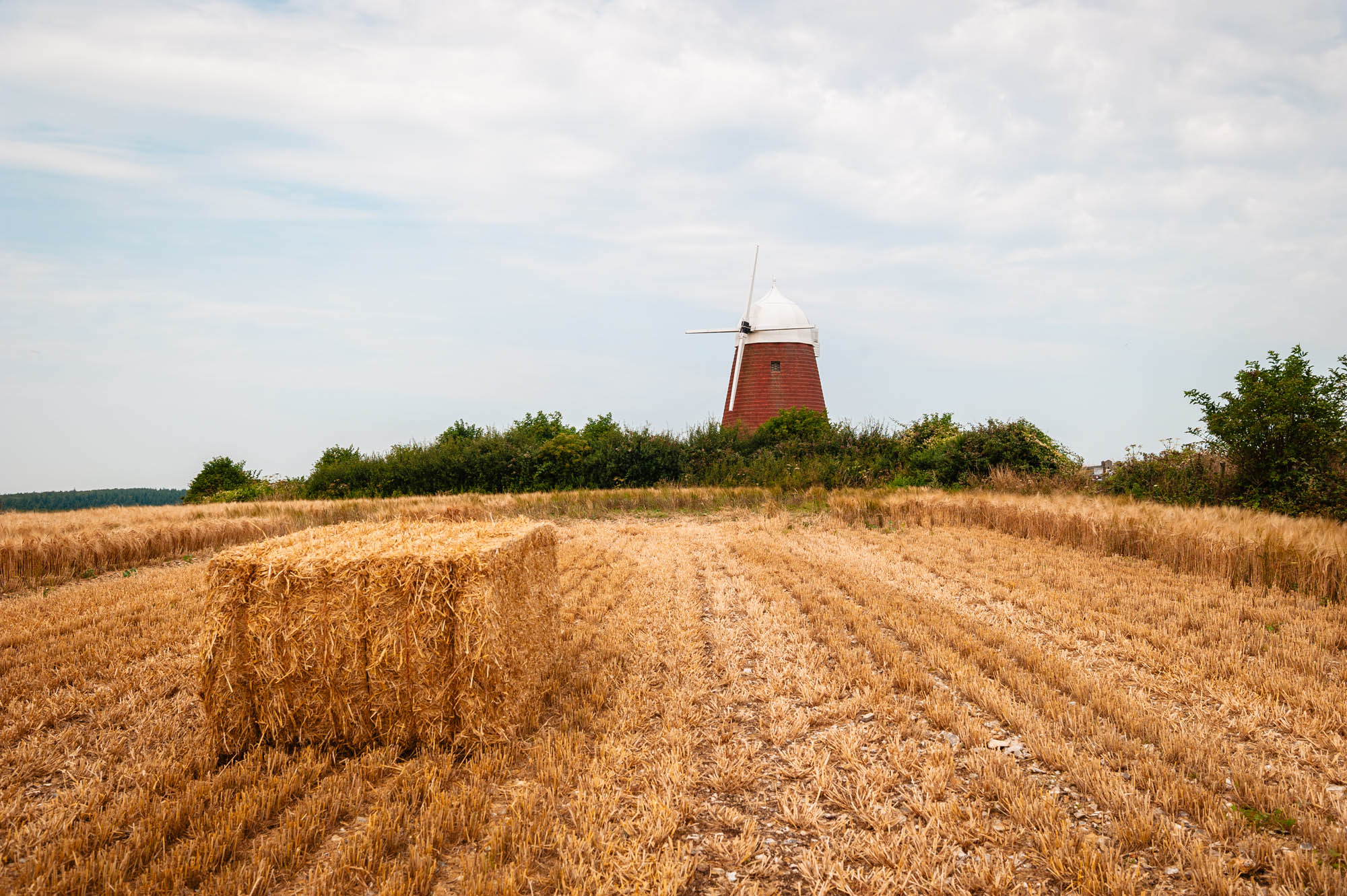A wheat field with a stack of hay in the middle, with a small red windmill in the distance. Taken on the Nikon D700 by Jakub Golis.
