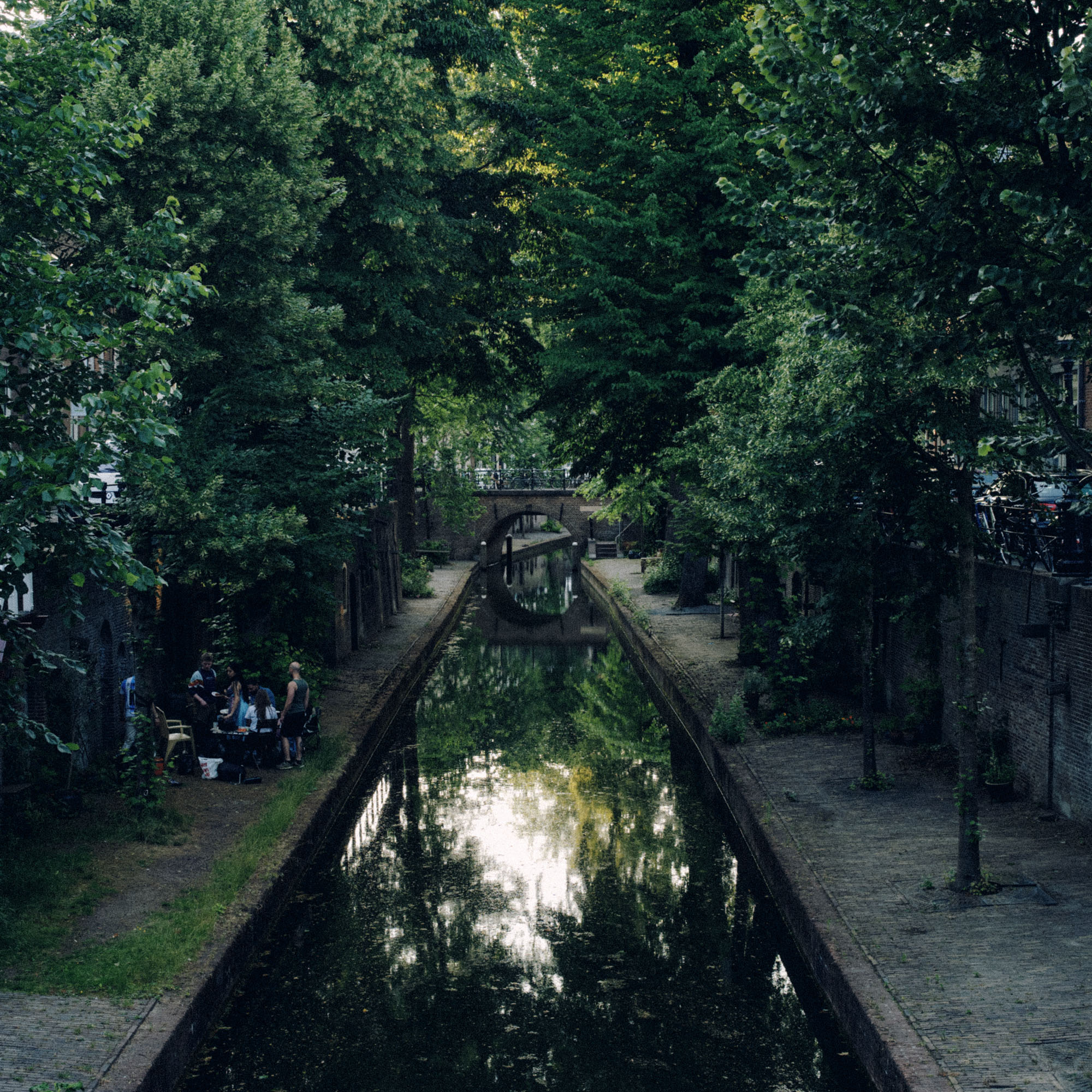 Tree-lined canal with reflections in the water, surrounded by lush greenery and historic architecture in Utrecht, photographed with the Panasonic Lumix S5IIX.