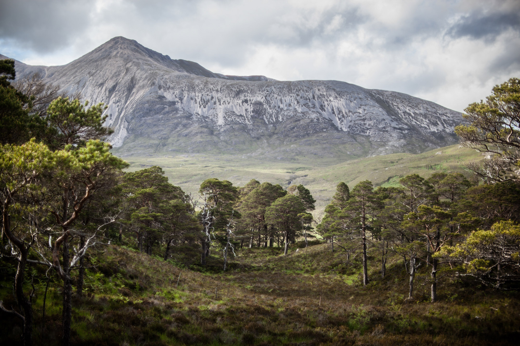 A small mountain on a grassy plain with woodland in the foreground