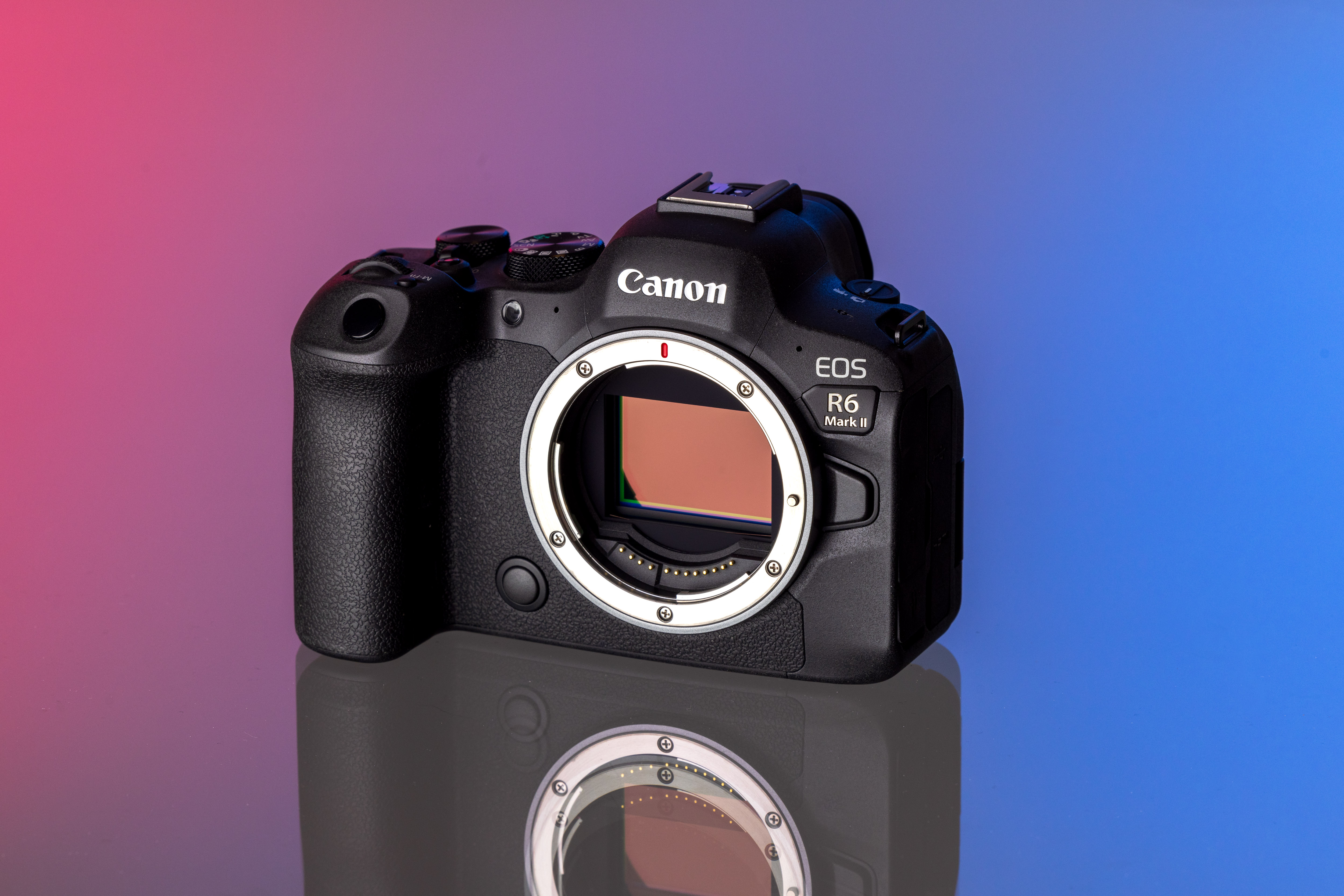 Used Canon EOS R6 Mark II