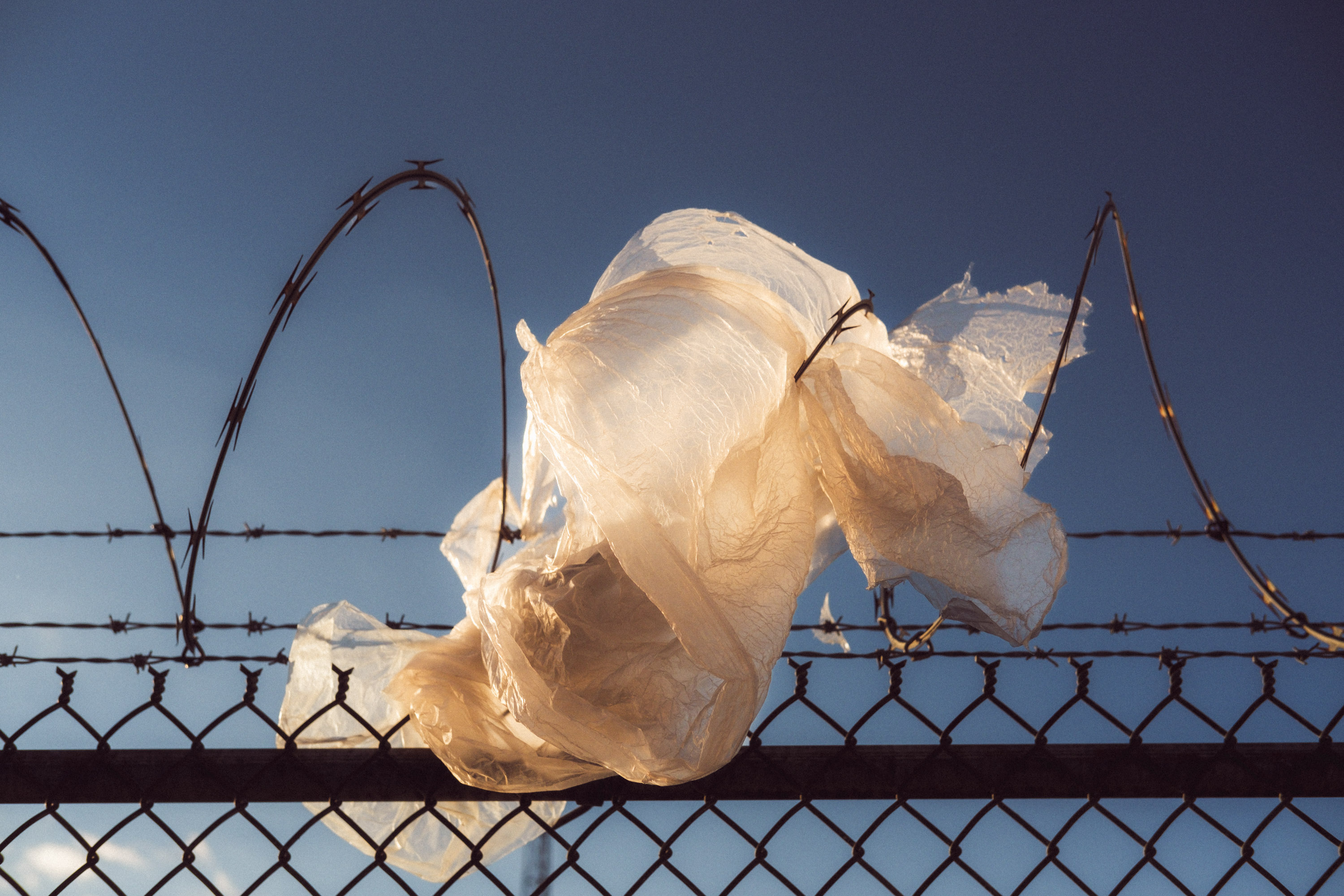 Un sac en plastique pris dans une clôture barbelée contre un ciel bleu. Photo prise avec le X-Pro 3 par Ian Howorth.
