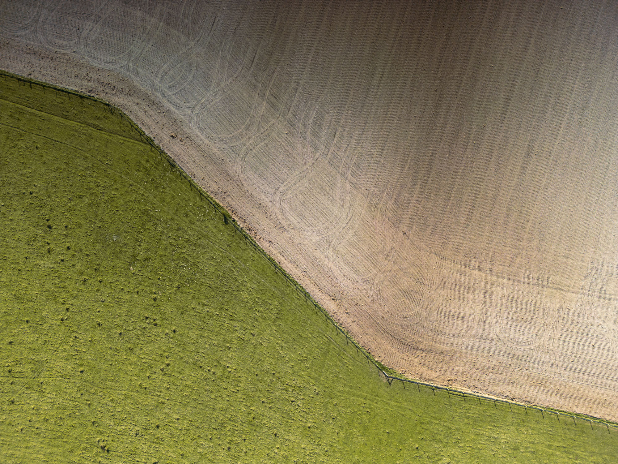 Senkrechte Drohnenaufnahme einer grünen Wiese neben einem frisch bearbeiteten Feld mit geschwungenen Fahrspuren. Aufgenommen von Adam Makkai mit einer DJI Mini 3 Pro.