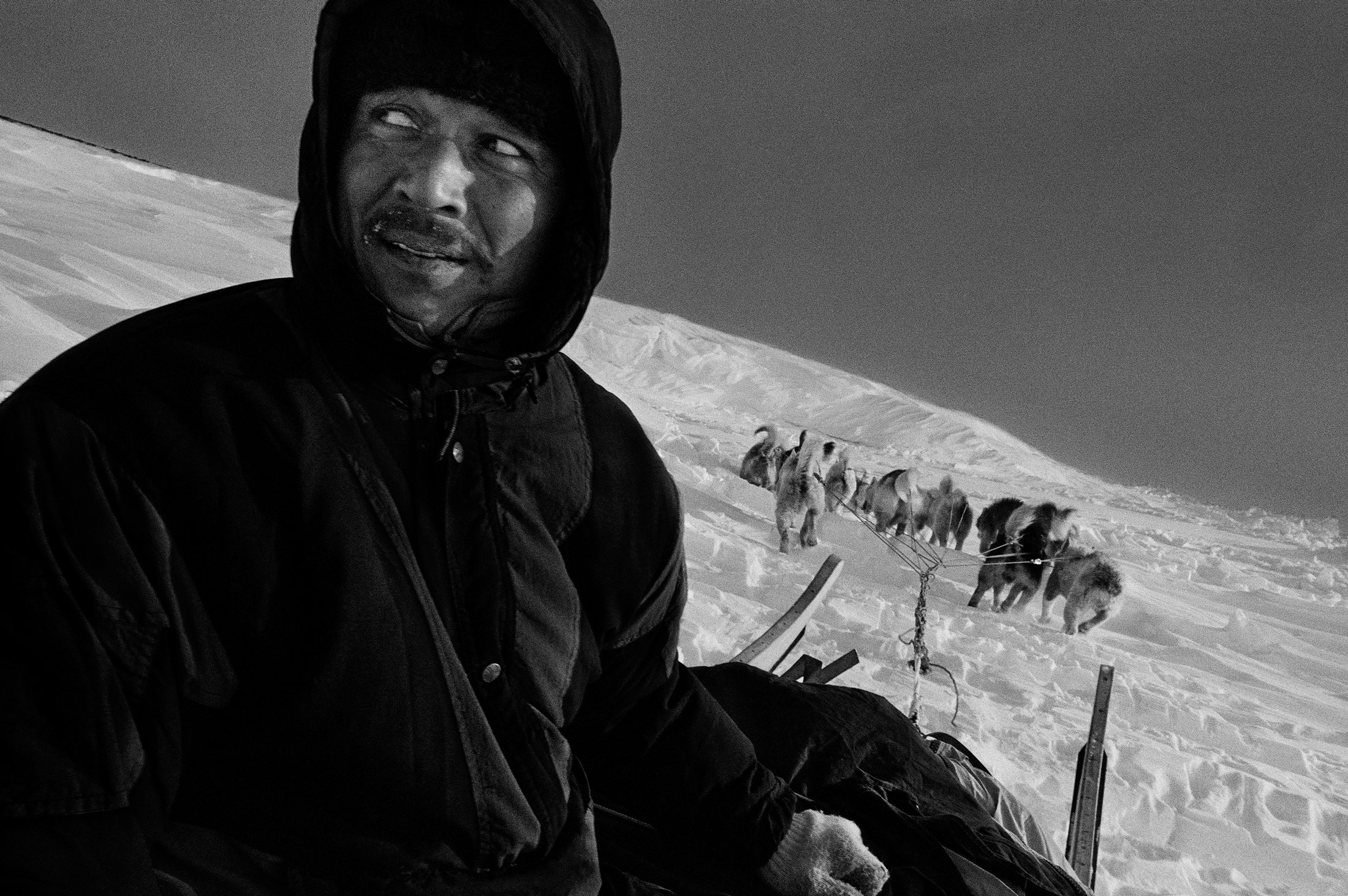 Black and white photograph of a person on a sledge dog in the foreground, in the background the sledge dogs from behind pulling the sledge over a snowy landscape, photo taken by Ragnar Axelsson