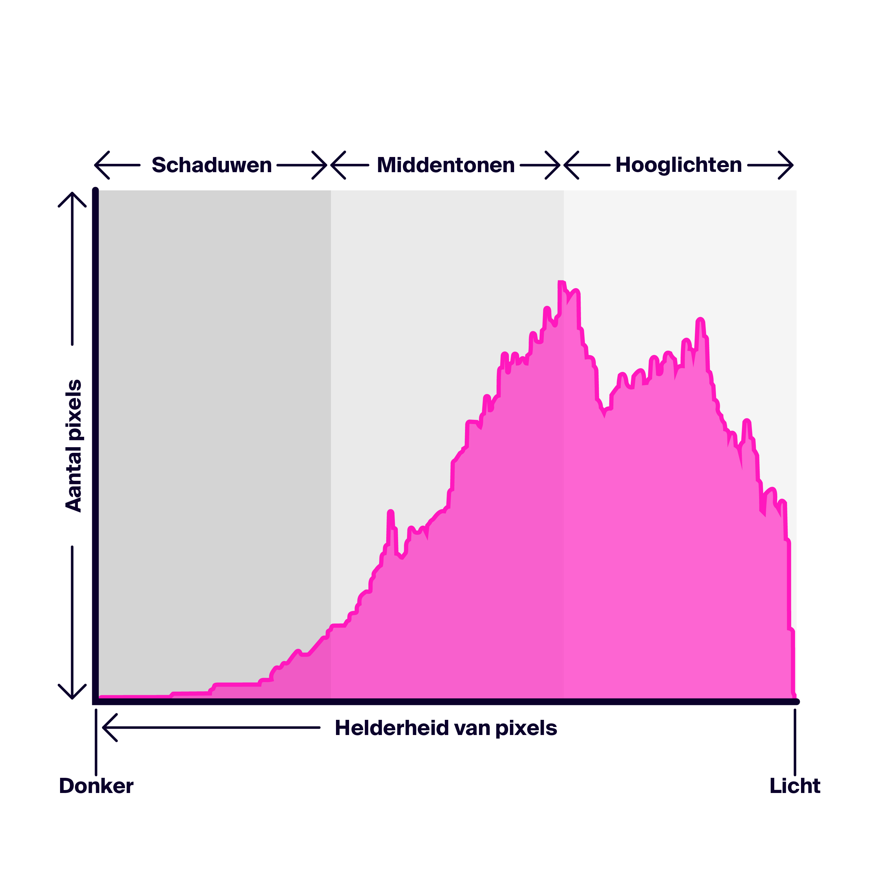 Een infographic die uitlegt hoe je een fotografisch histogram leest.