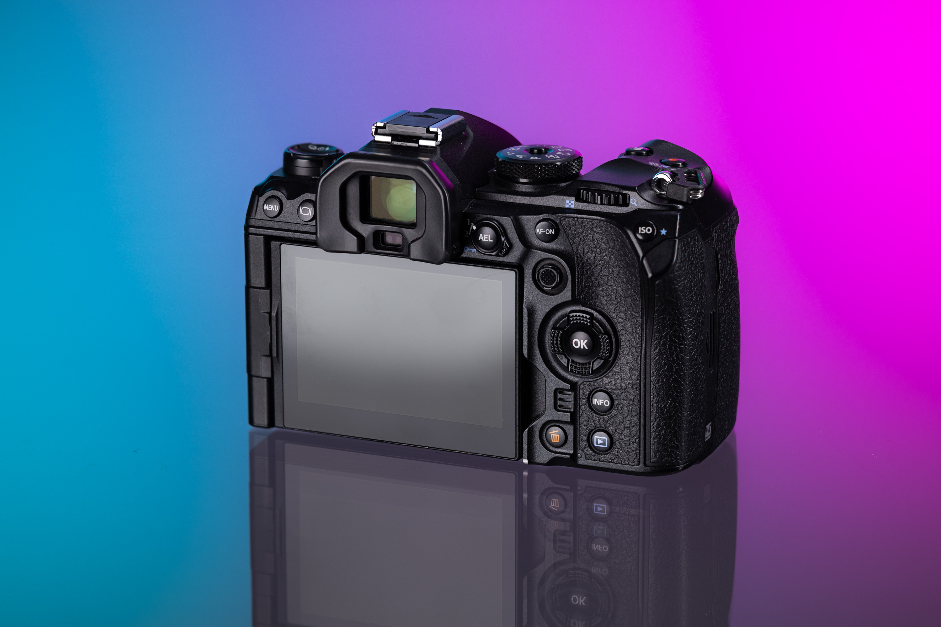 Die Rückseite der OM System OM-1 vor einem lila- und aquamarinfarbenen Hintergrund