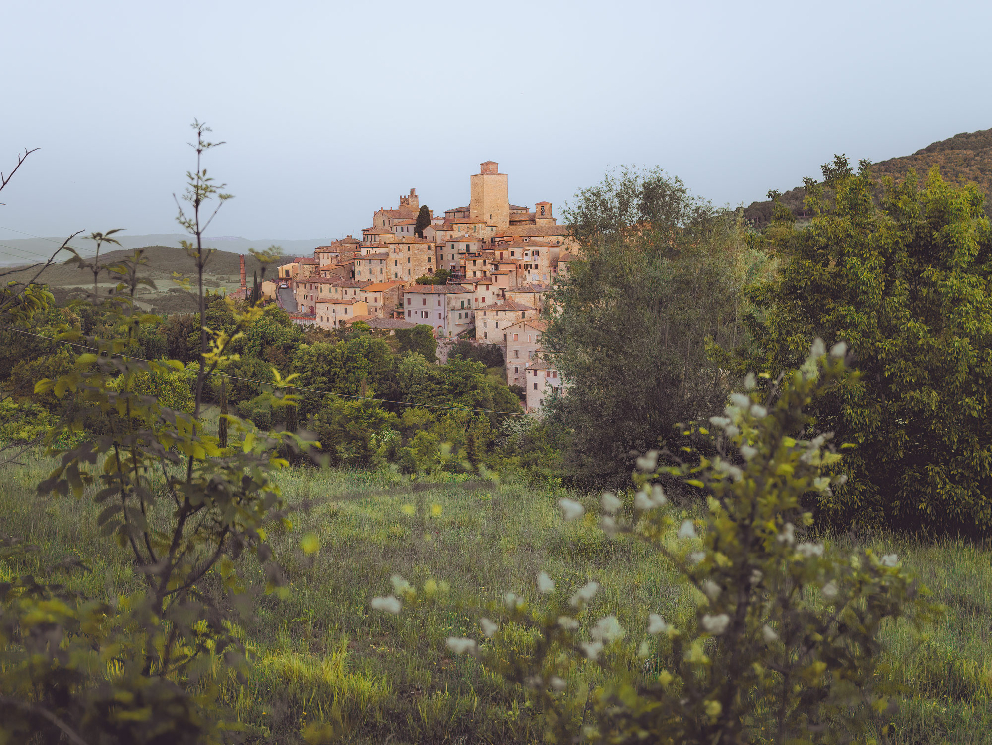 Houses on a hillside in Petrolo, Tuscany. There are trees and grass in the foreground, and hills in the background.
