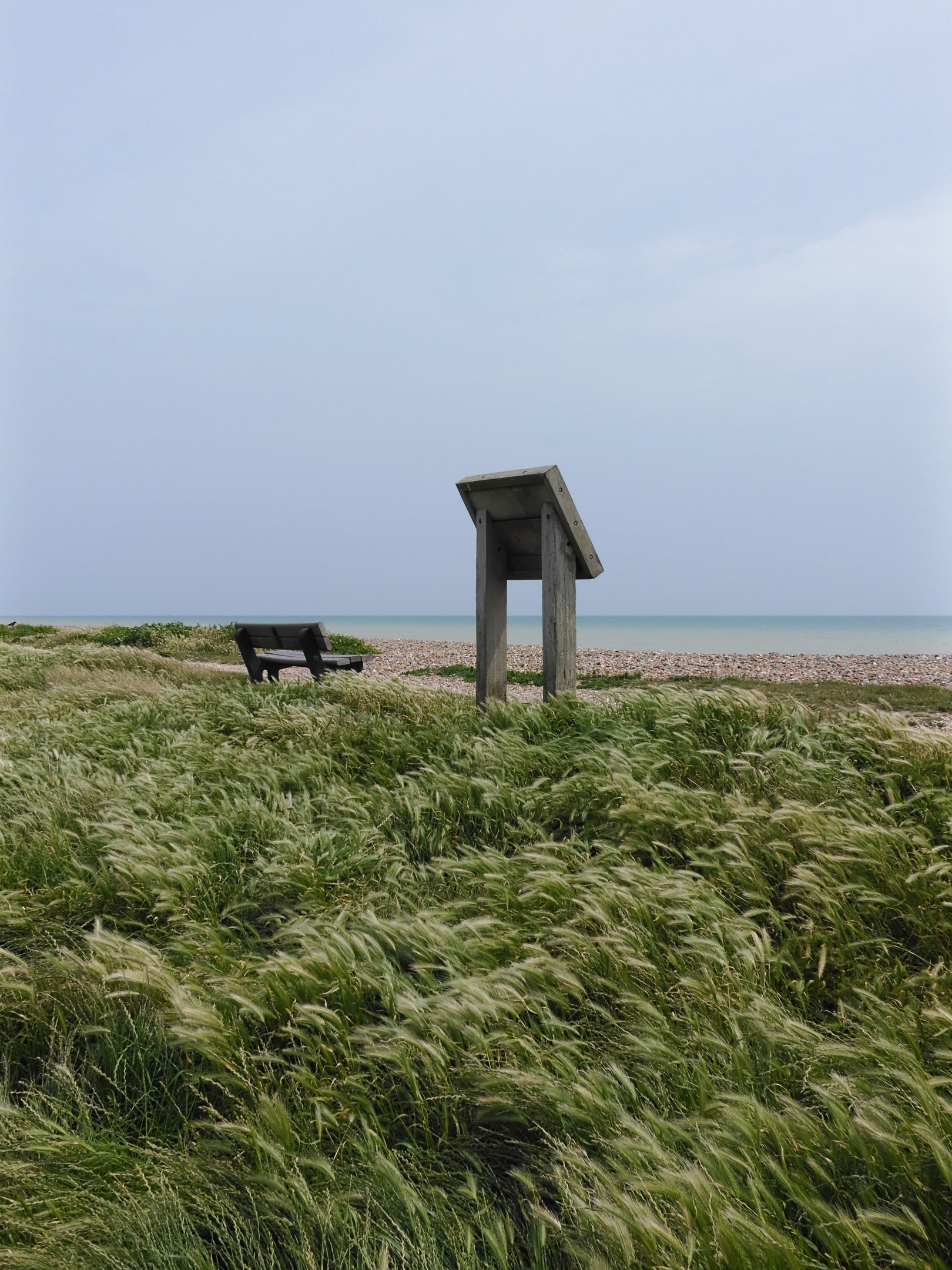 Ein windiger Tag an der Küste. Im Vordergrund, langes Gras, das sich im Wind wiegt. In der Ferne, ein Kiesstrand und das Meer.