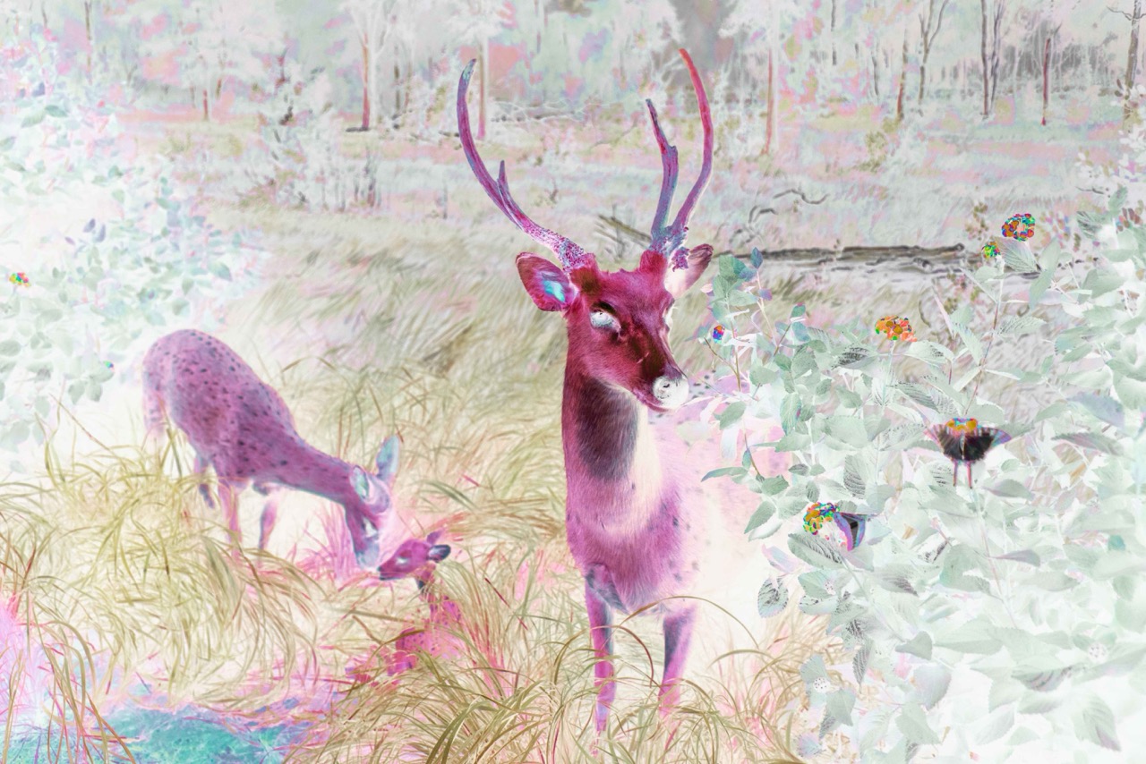 A colourful images of deers in nature, called Fauna, created by artist Claudia Fuggetti