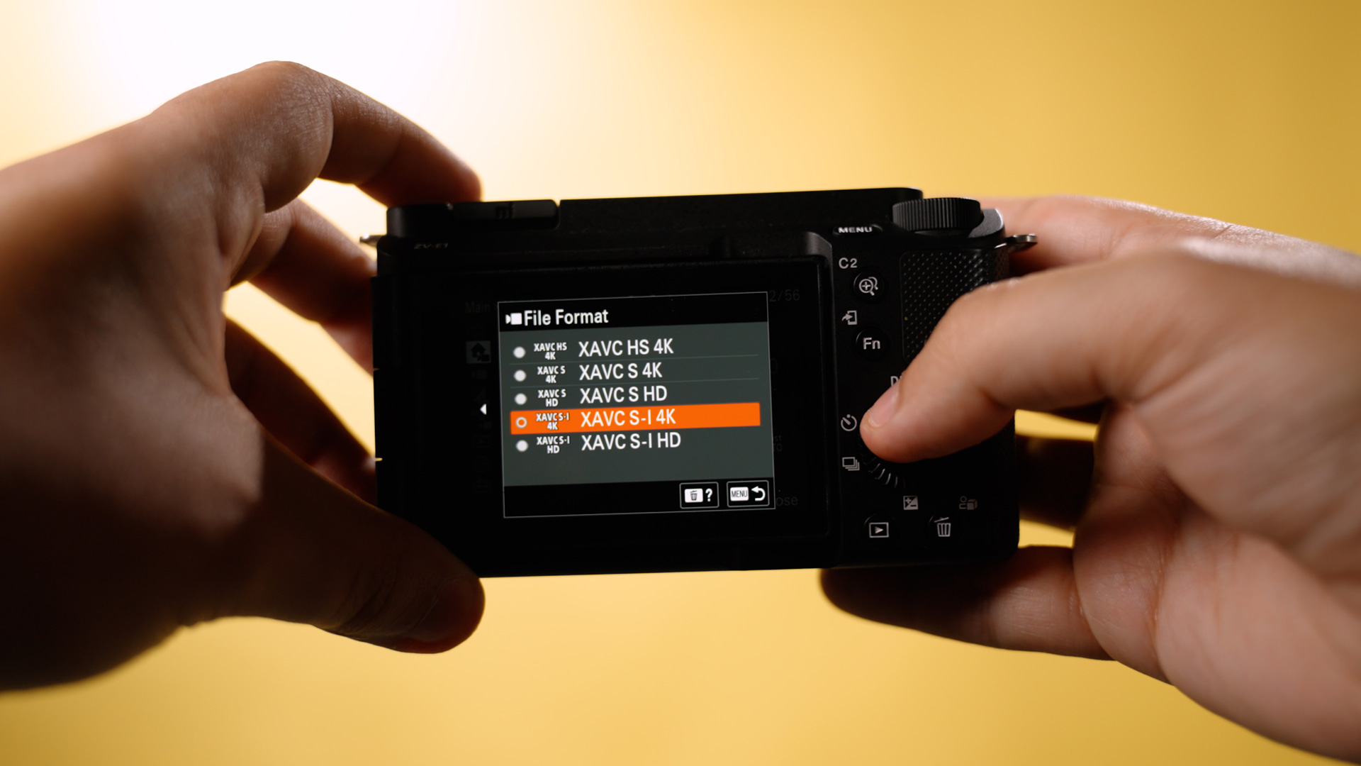 Écran de format de fichier sur le Sony ZV-E1

