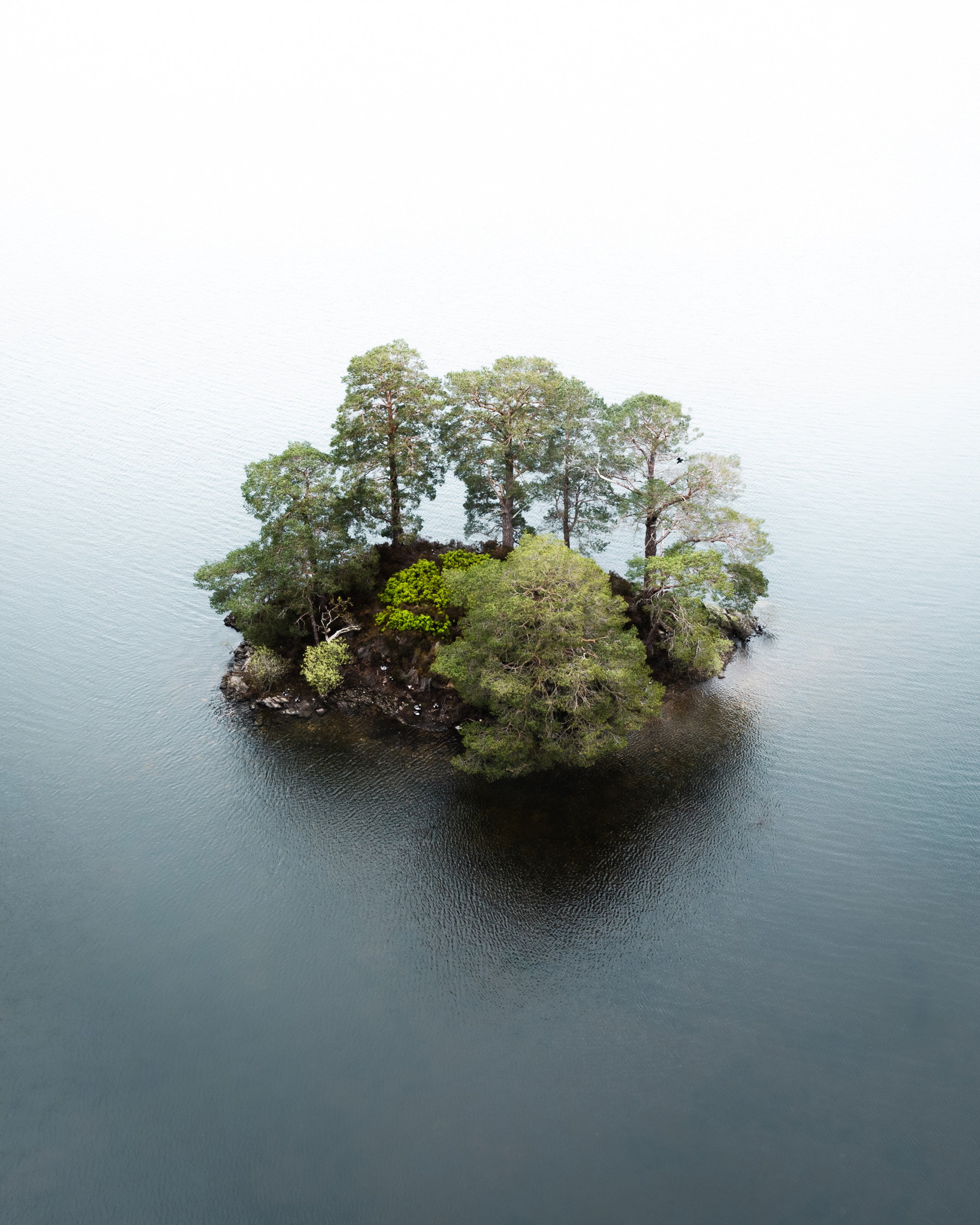 An aerial drone photo of an islet in the Lake District, a small island with trees surrounded by water, shot by Jordan Lancaster-Graham with a DJI Mavic II Pro
