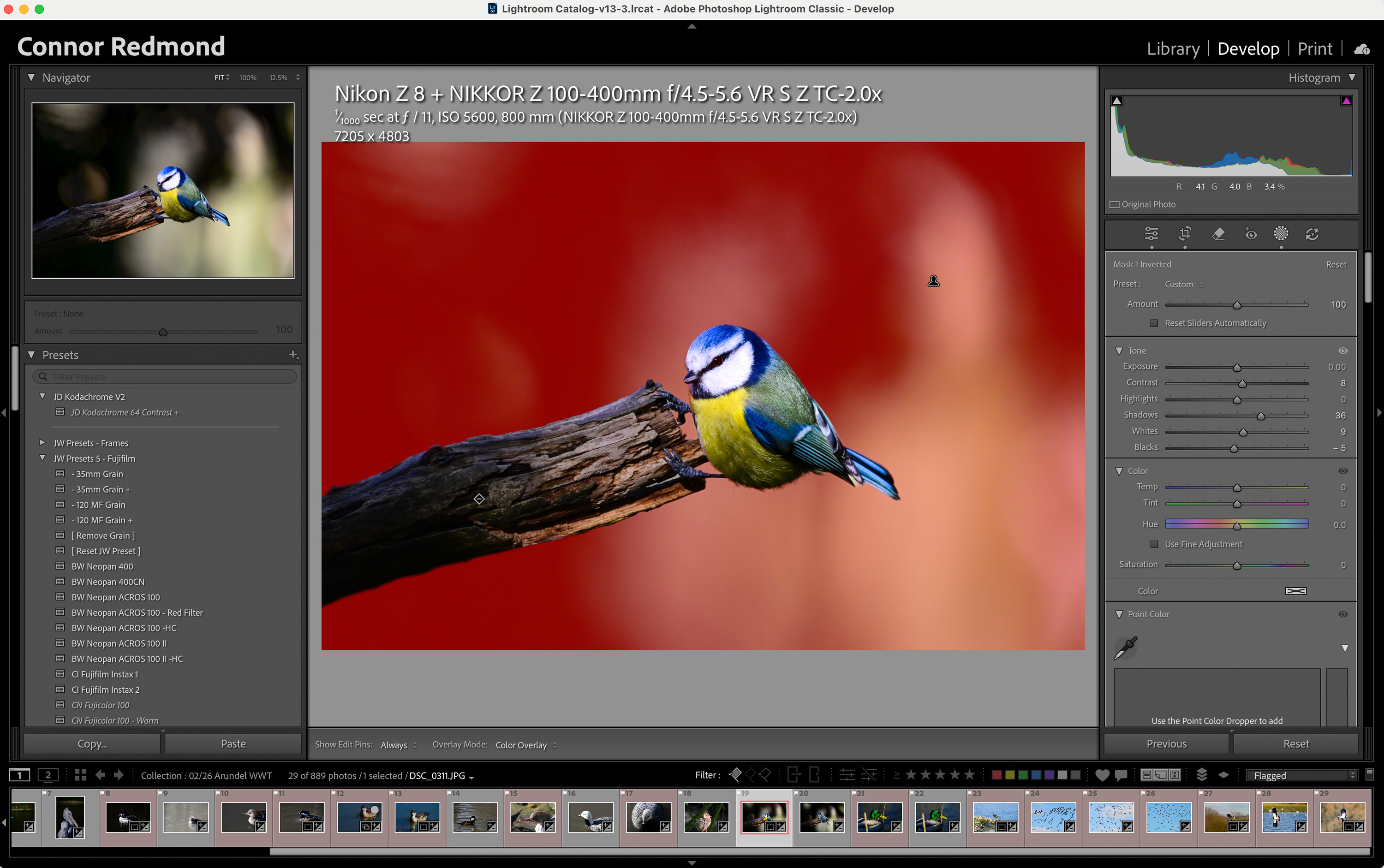 Schermafbeelding van het gereedschap Masker in Lightroom Classic op een blauwe vogelfoto, gemaakt door Connor Redmond