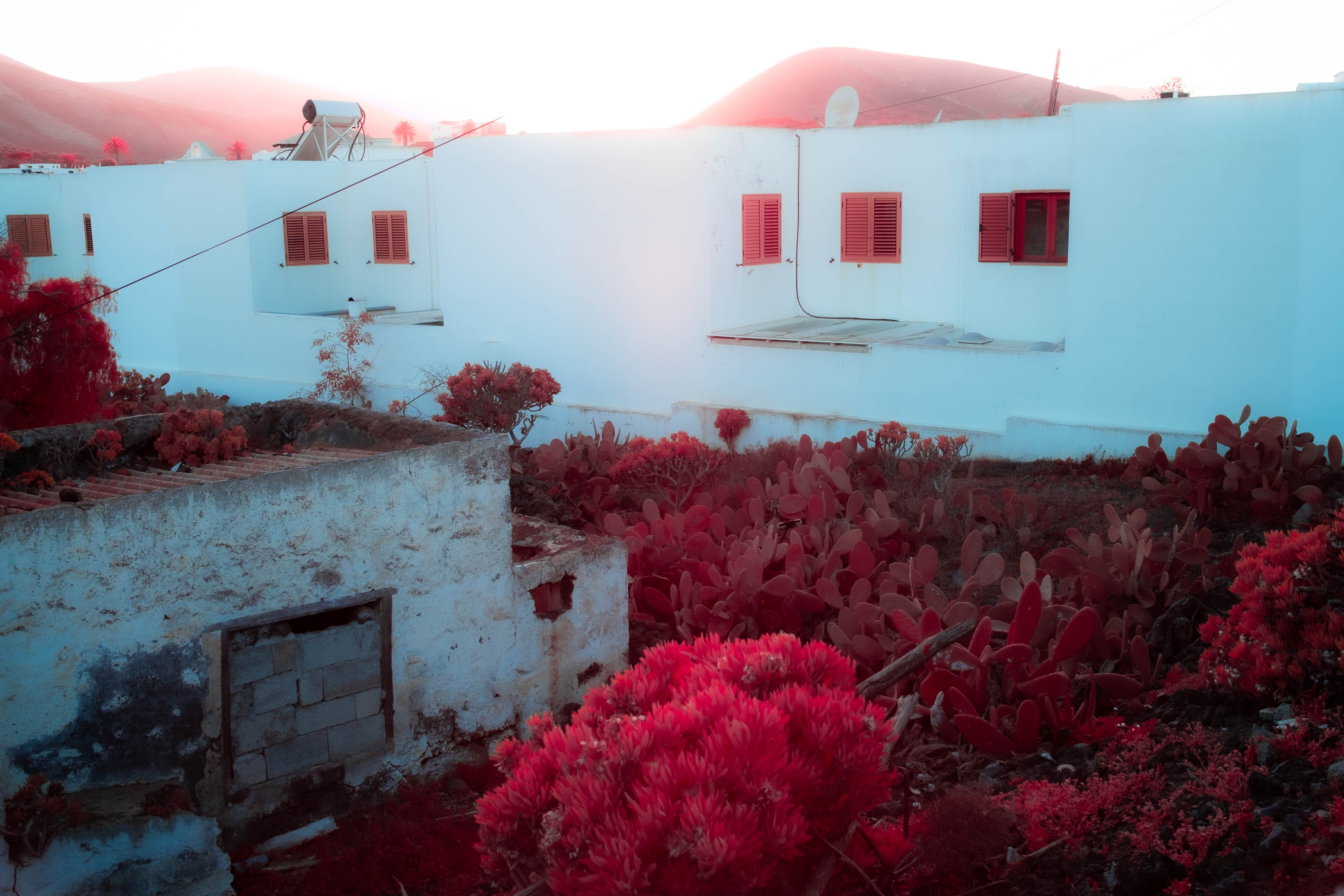 An infrared photo of pink plants growing between white houses in Lanzarote, shot by Ian Howorth with an IR-Converted Fujifilm X-T1
