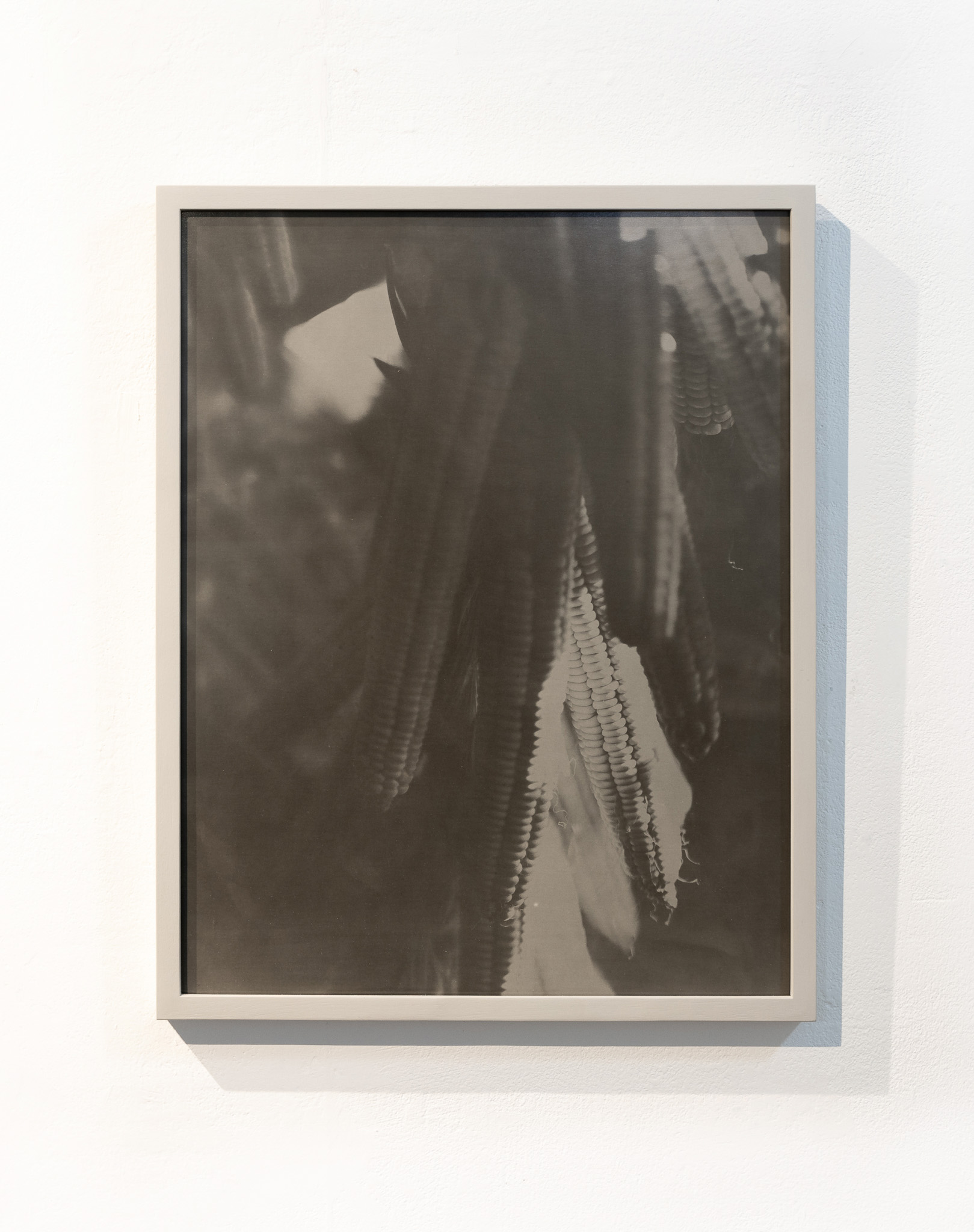 Een monochrome ingelijste foto die de textuur en vorm van witte maïs vastlegt. Tegen een witte galeriemuur benadrukt de foto natuurlijke details en contrasten.