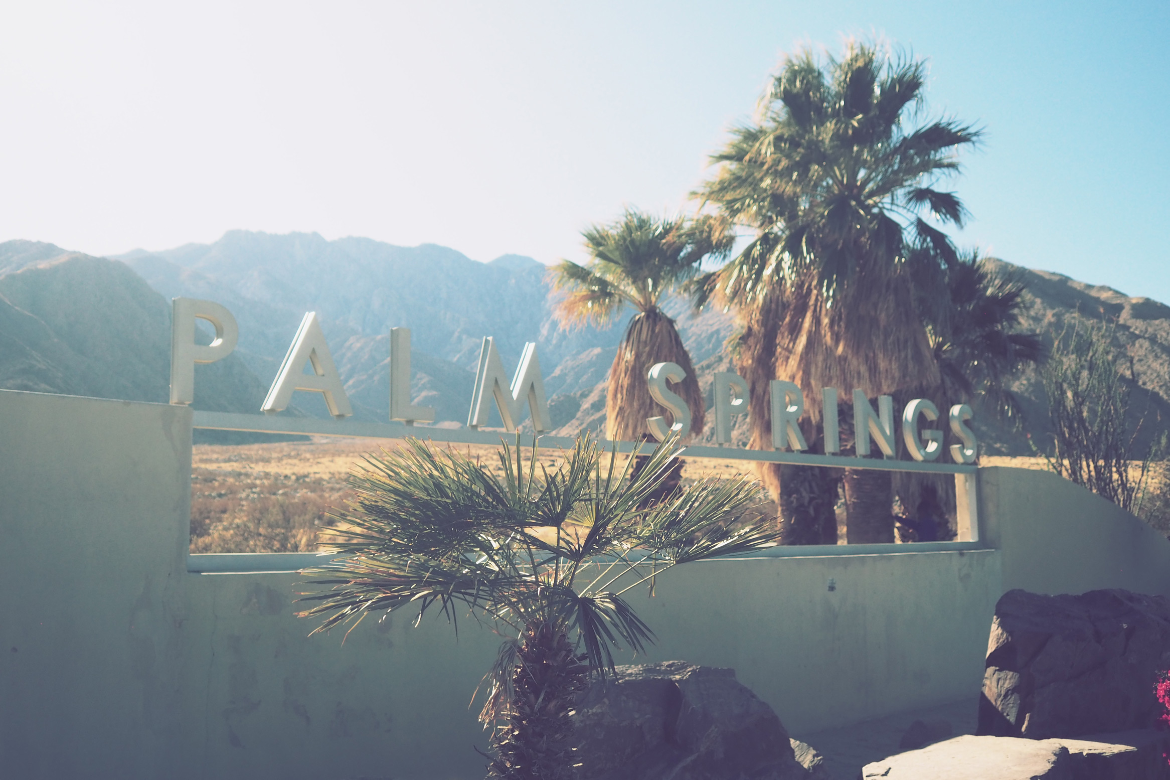 Welcome sign to the city of Palm Springs, California, with palm trees and mountains in the background taken on an Olympus Pen-F by Justin Patricolo.