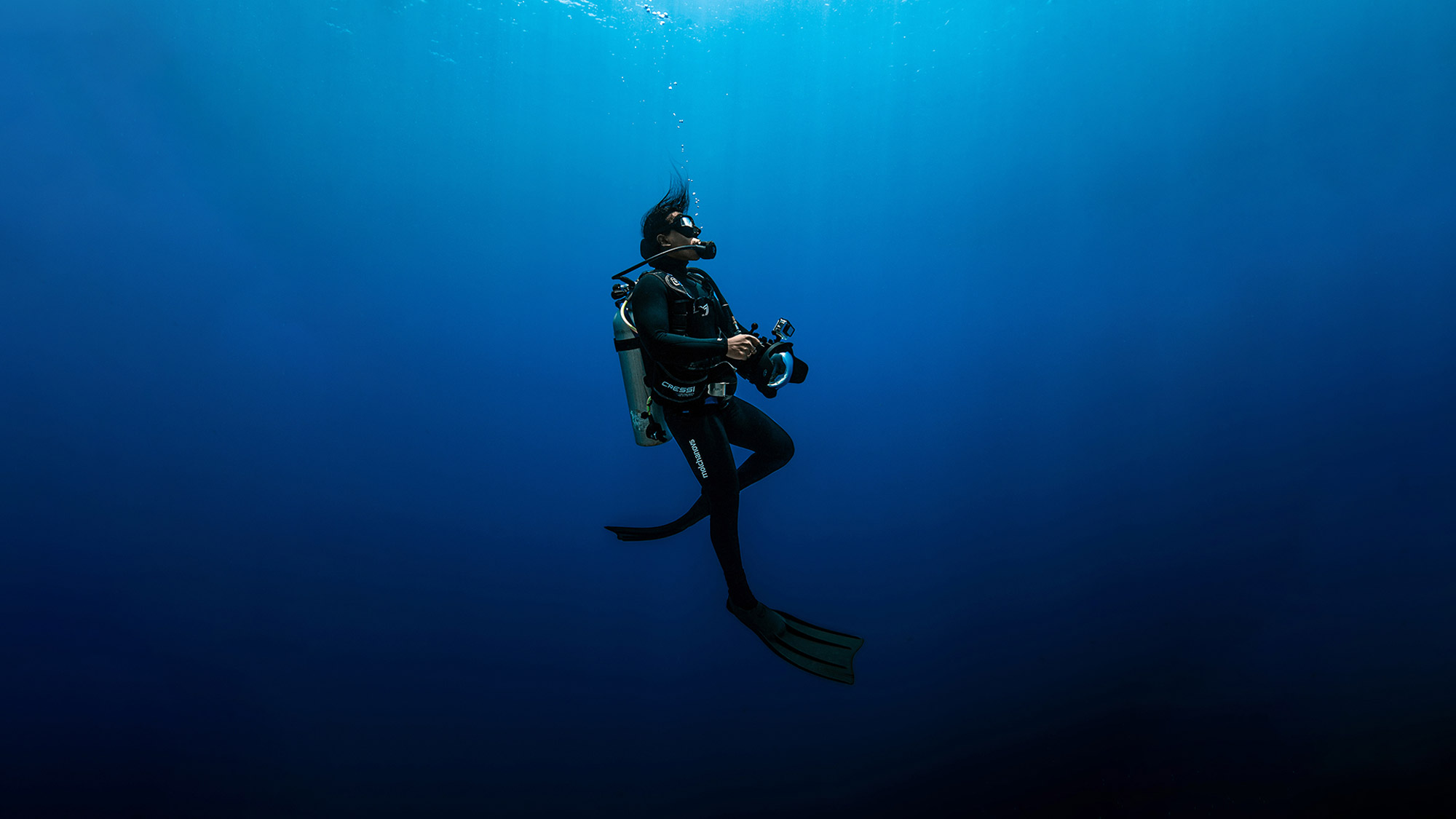10 Conseils pour la photographie de la faune sous-marine
