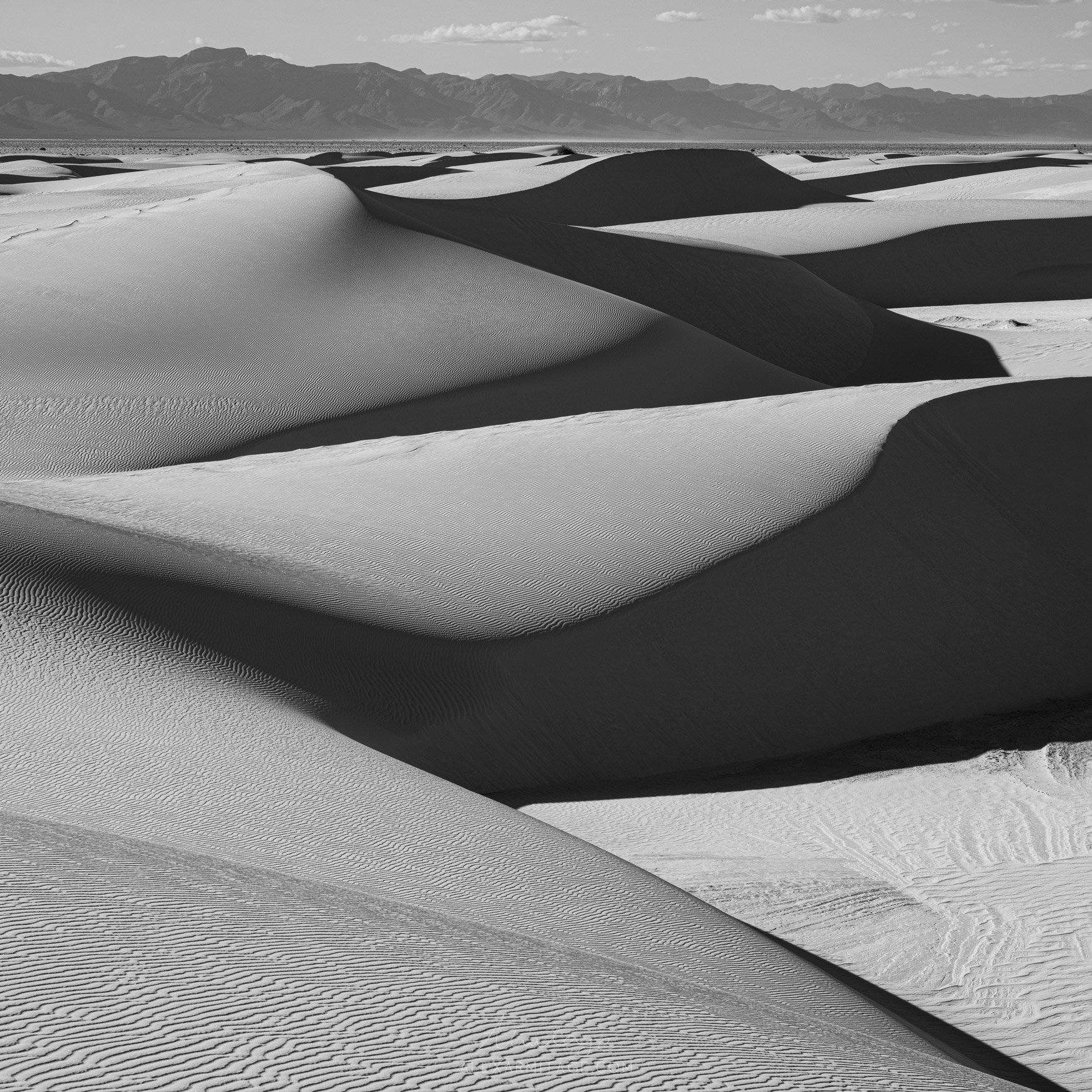 Black and white image of rolling sand dunes in White Sands National Park in New Mexico, USA, taken by Alex Armitage on a Nikon Z8.