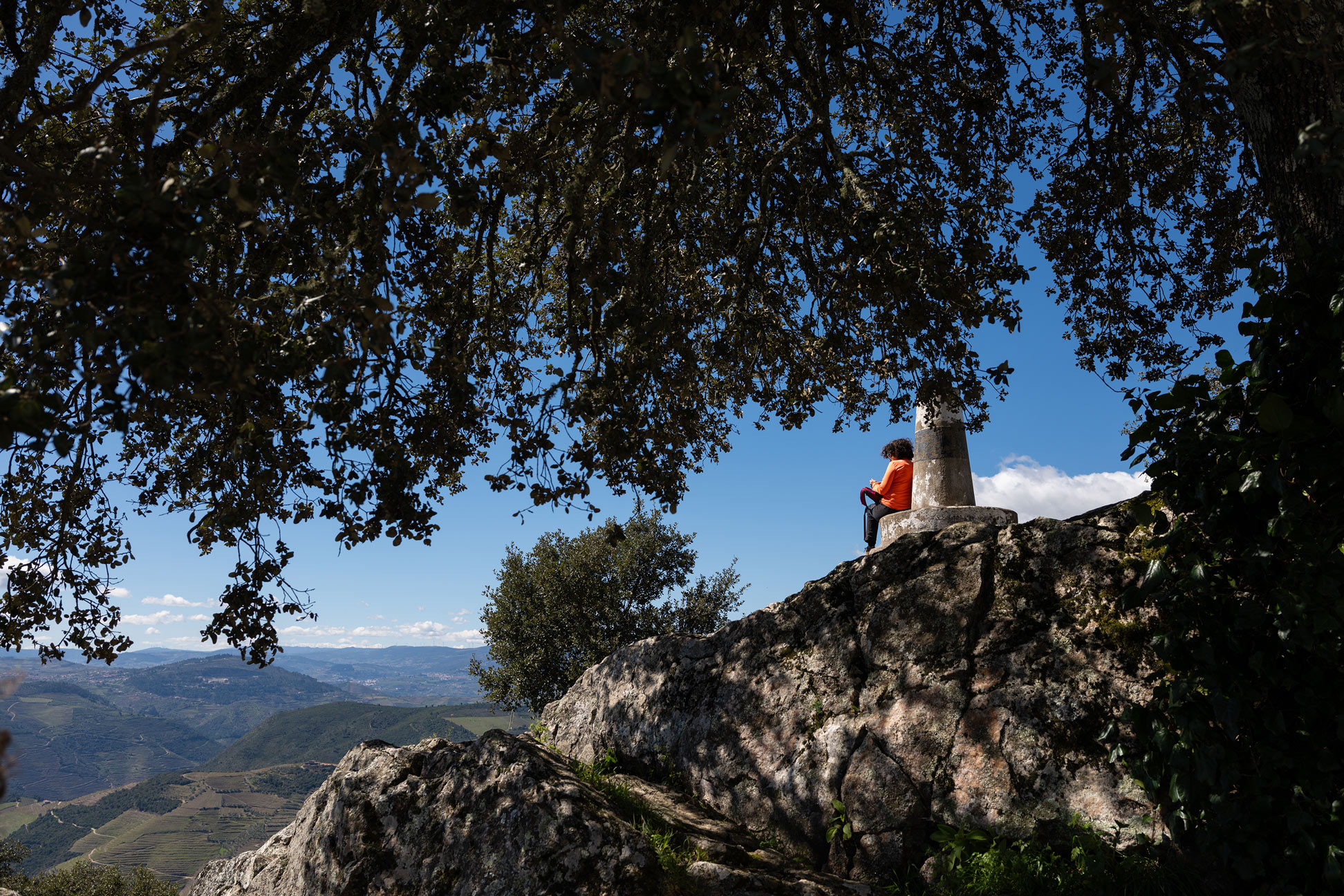 A person sitting on a cliffside under the shade of a tree in Portugal. Shot on the Fujifilm GFX100RF by Amy Moore