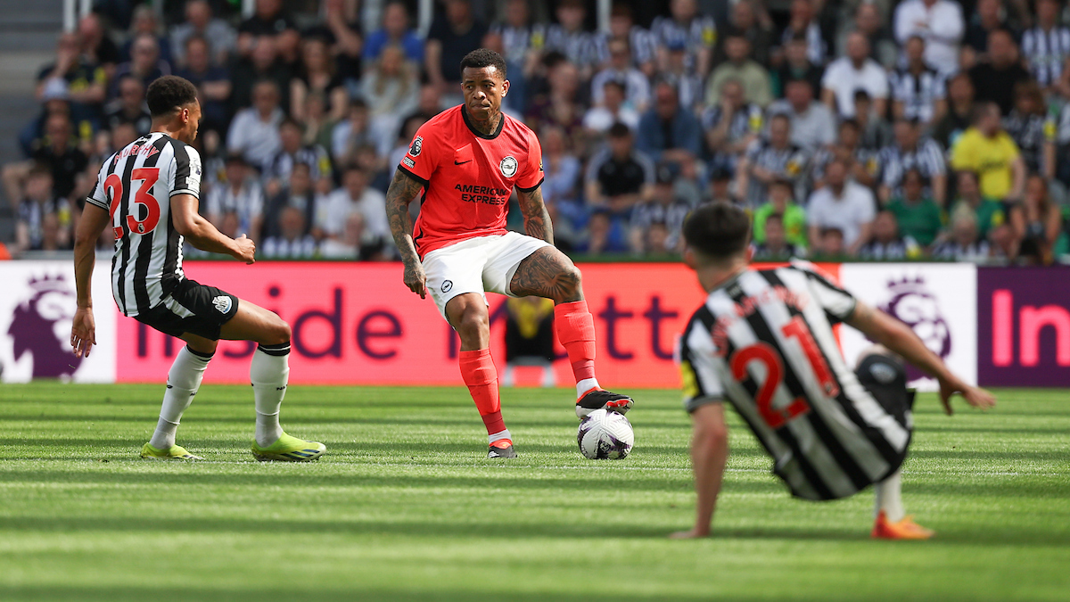 Newcastle United v Brighton & Hove Albion