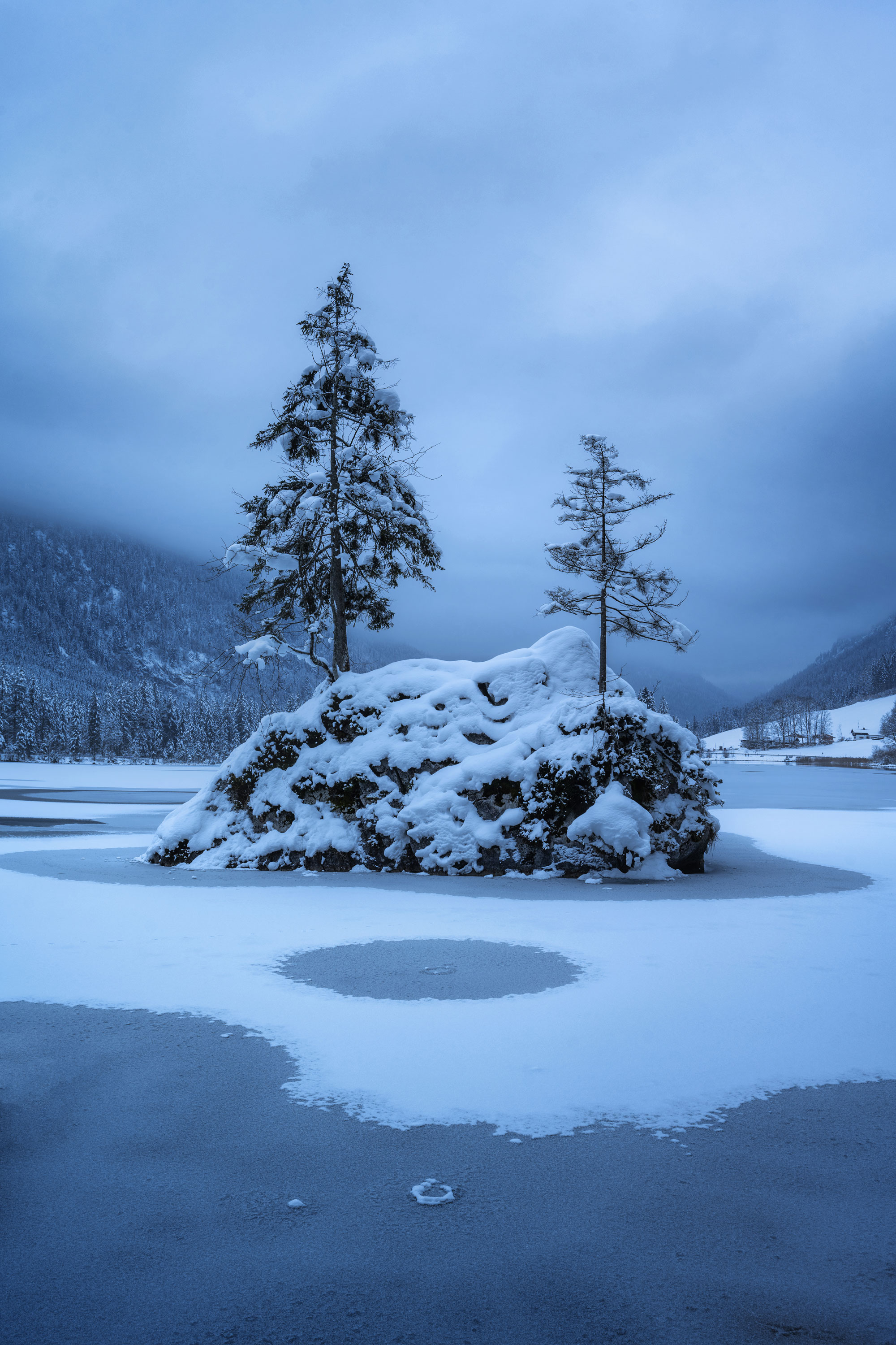 Schneebedeckter Hügel, aus dem zwei Tannen erwachsen inmitten einer Eisfläche, im Hintergrund nebelverhangene Berge, aufgenommen von Kilian Schönberger

