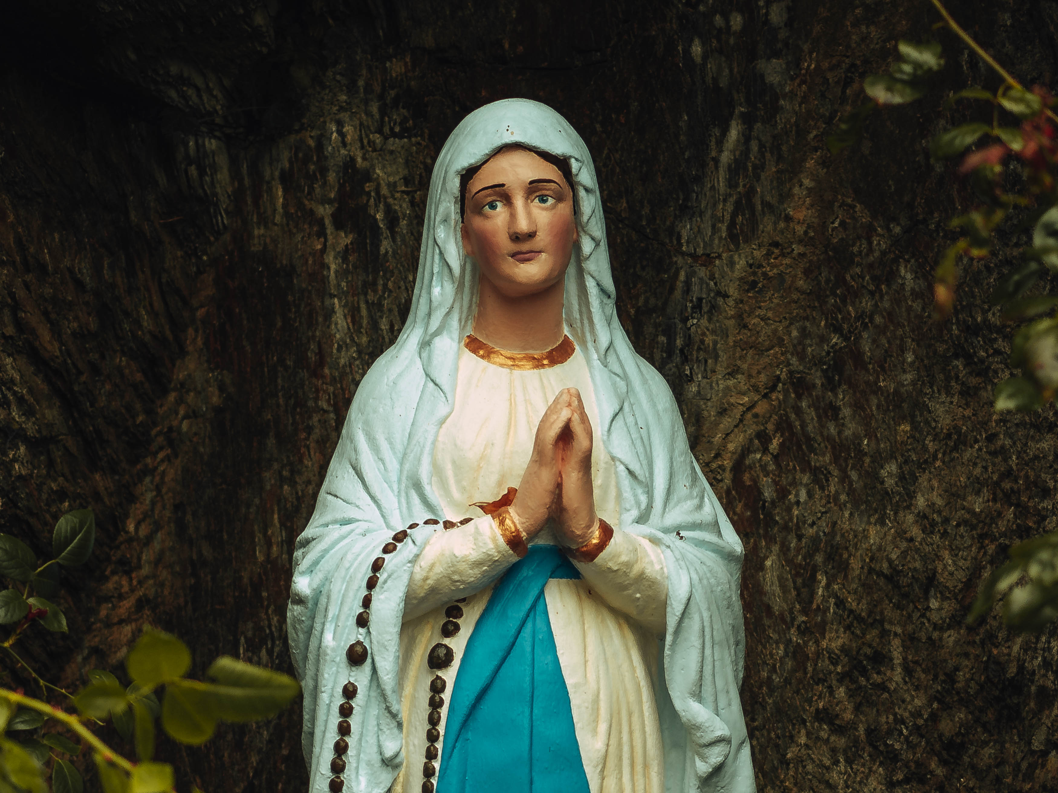 Bildausschnitt einer Marienstatue, umgeben von weißen, rosa und roten Rosensträußen vor einem Baum, fotografiert von Ian Howorth mit einer Hasselblad X2D 100C