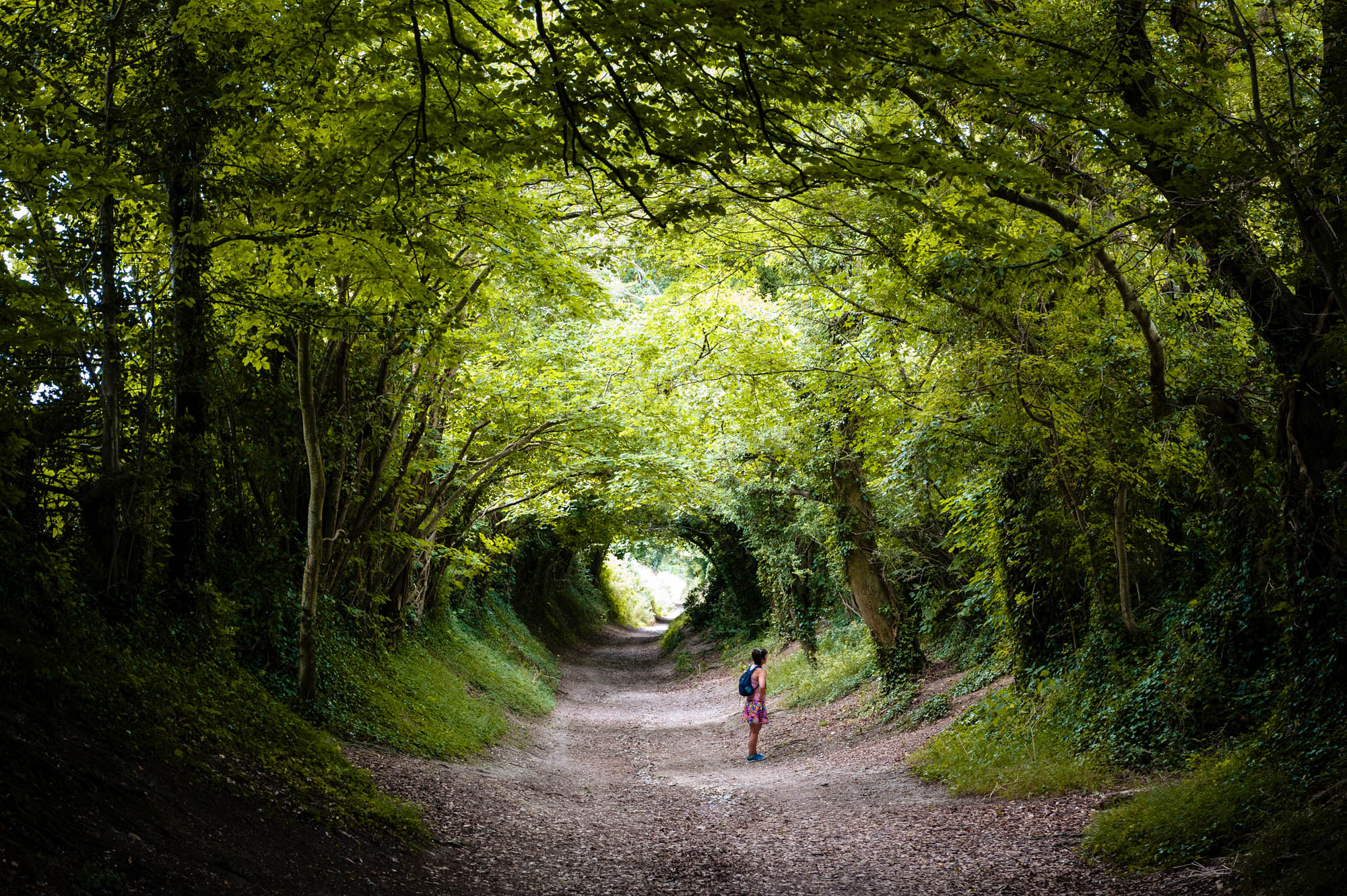 A wide path flanked by dense green trees with a small child standing off the centre of the frame. Taken on the Nikon D700 by Jakub Golis.