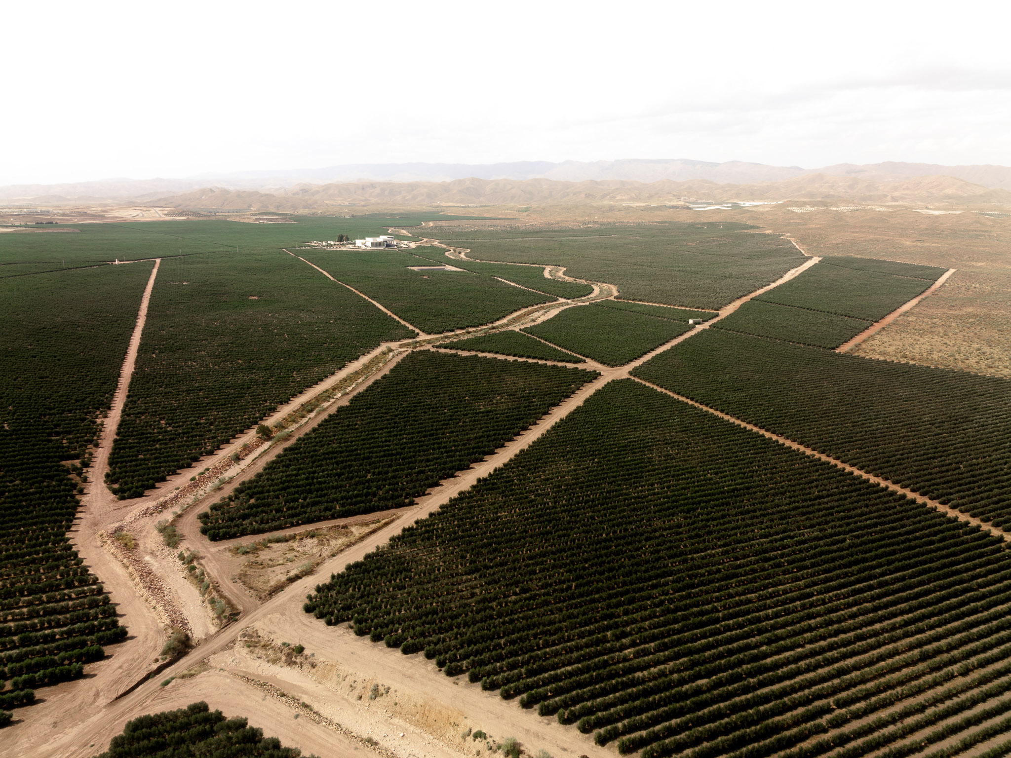 Aerial view of large agricultural fields divided by dirt roads, with rows of crops stretching into the distance.