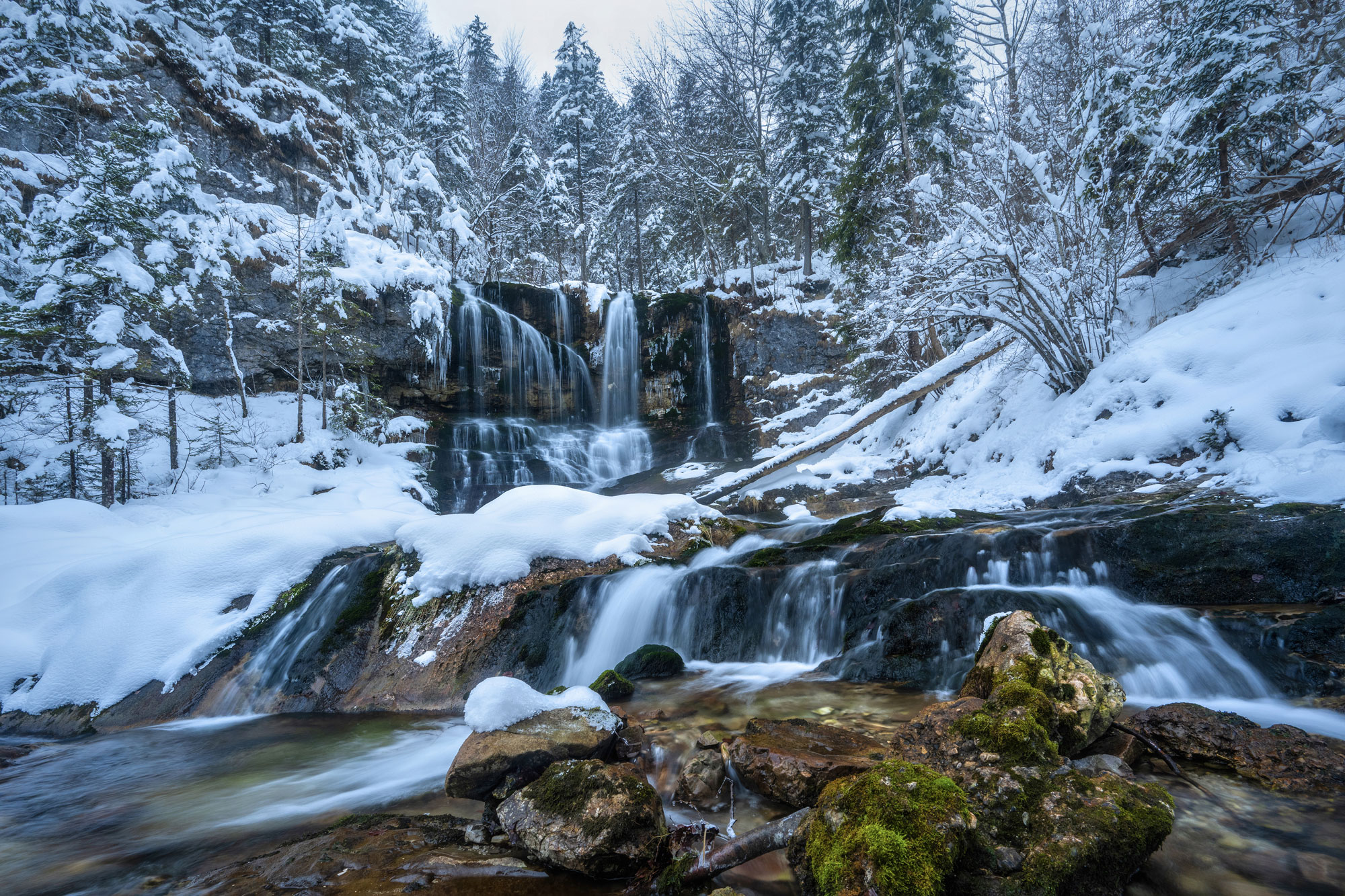 Mountain stream in a winter landscape with fir trees in the background and moss-covered mounds in the centre, shot by Kilian Schönberger