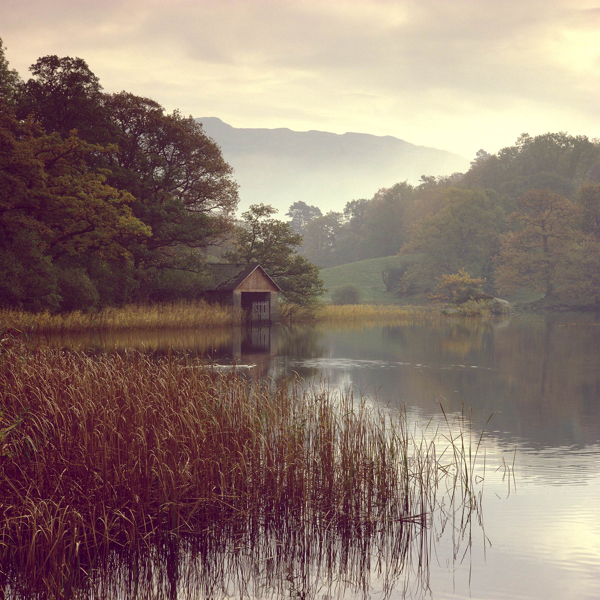 A building on the side of a lake, with long reeds rising from the water, with trees and hills in the background.