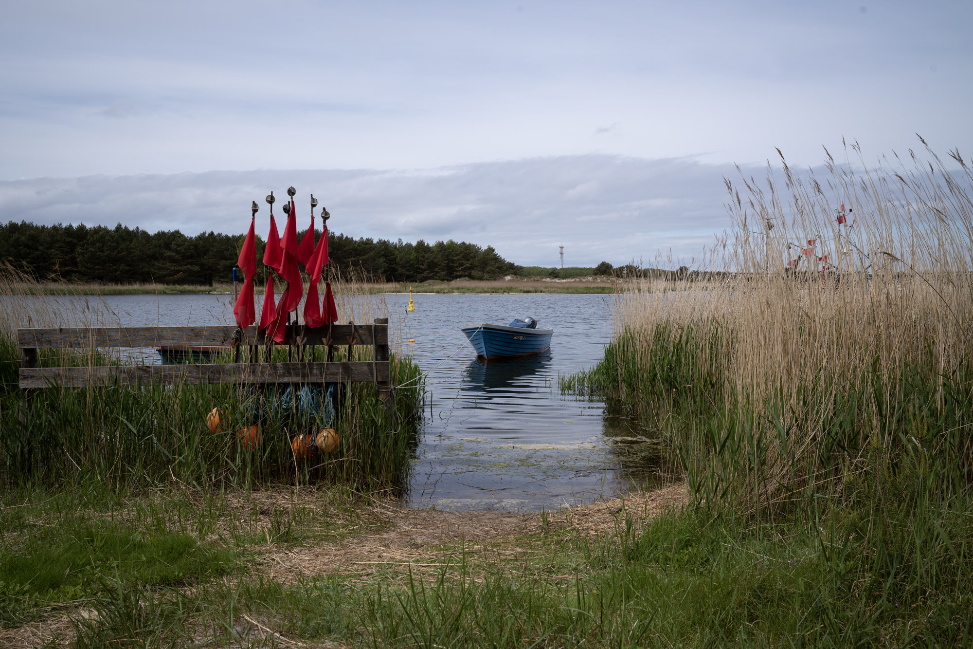 Landscape photograph of a lake, grasses in the foreground, a boat on the water in the centre, taken by Sebastian Niendieker with the Leica M10.