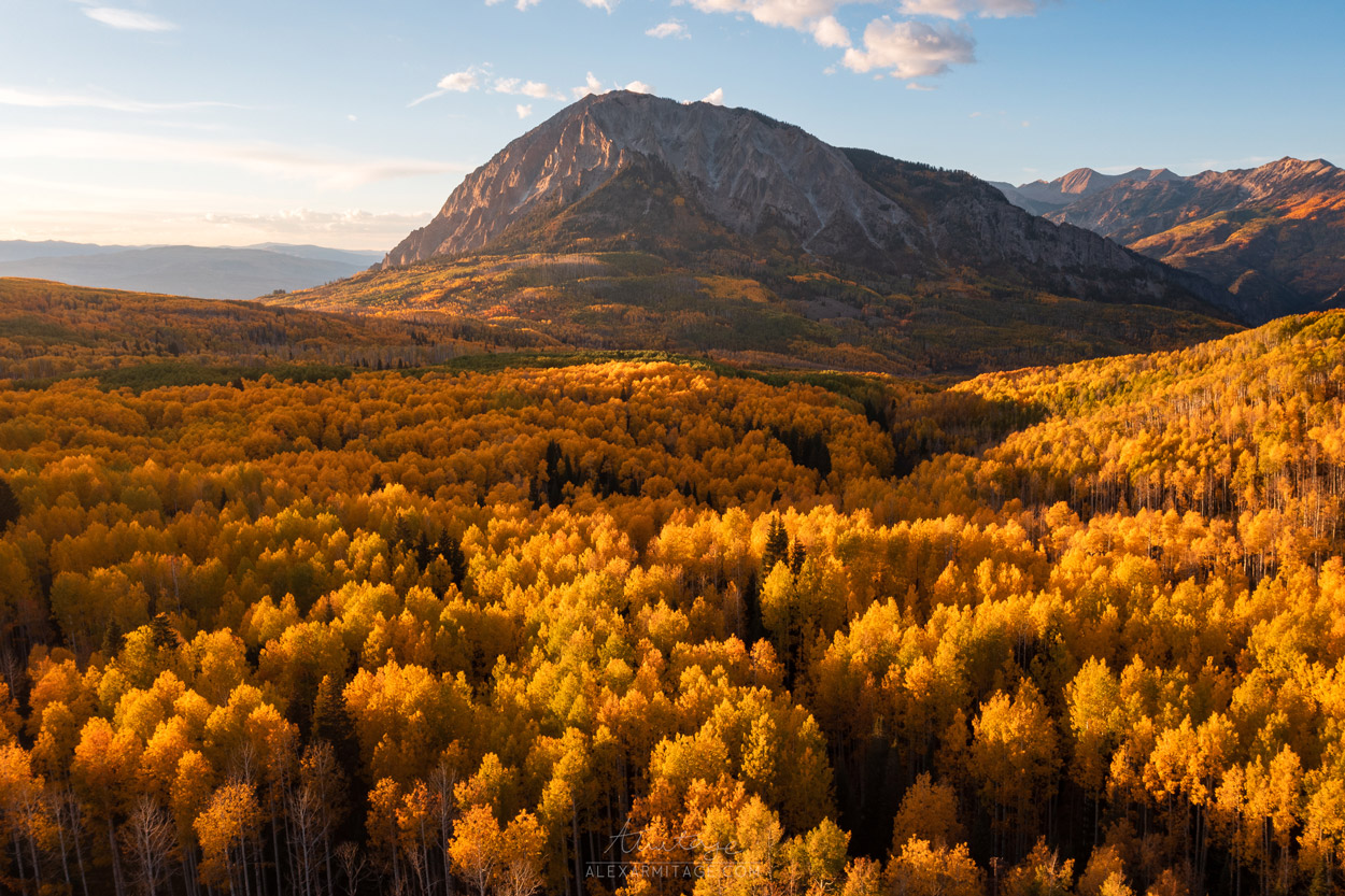 Une montagne se dresse au loin, entourée d'arbres dorés au premier plan