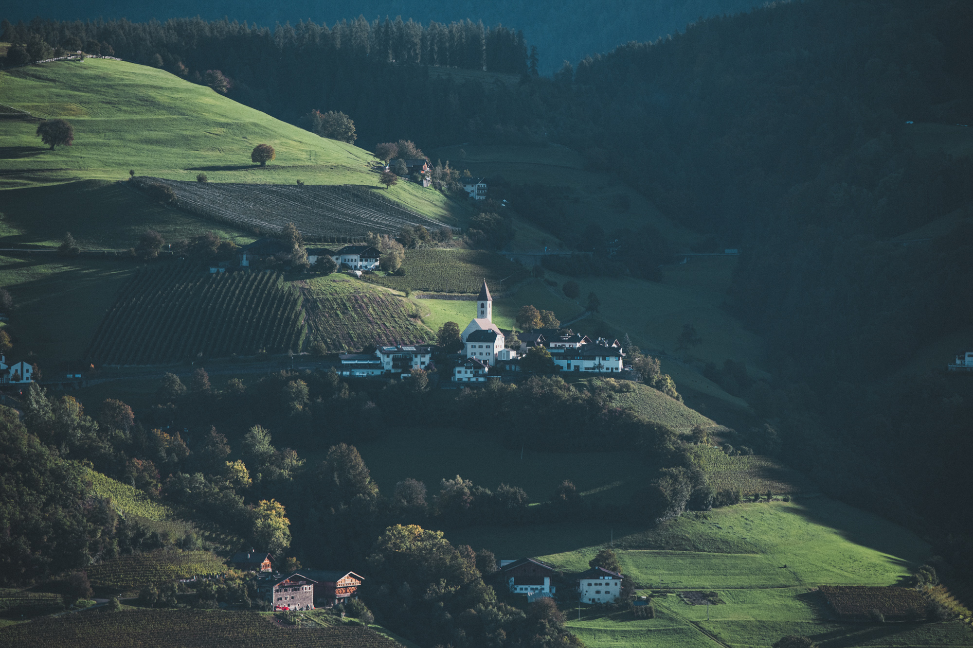 Kleines Alpendorf mit weißer Kirche, eingebettet zwischen Weinbergen und grünen Wiesen. Aufgenommen aus einem erhöhten Winkel und beleuchtet von Streiflicht.