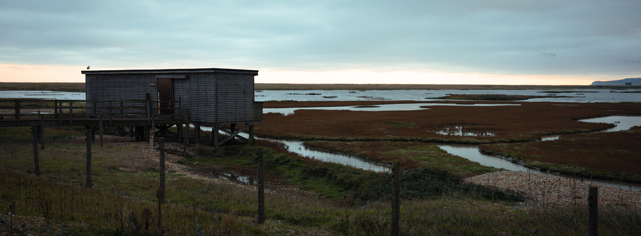 Rye Harbour Nature Reserve, Vereinigtes Königreich | Jakub Golis | Fujifilm GFX 50R | GF 45mm f/2.8 R WR | f/4 | 1/60 | ISO 250