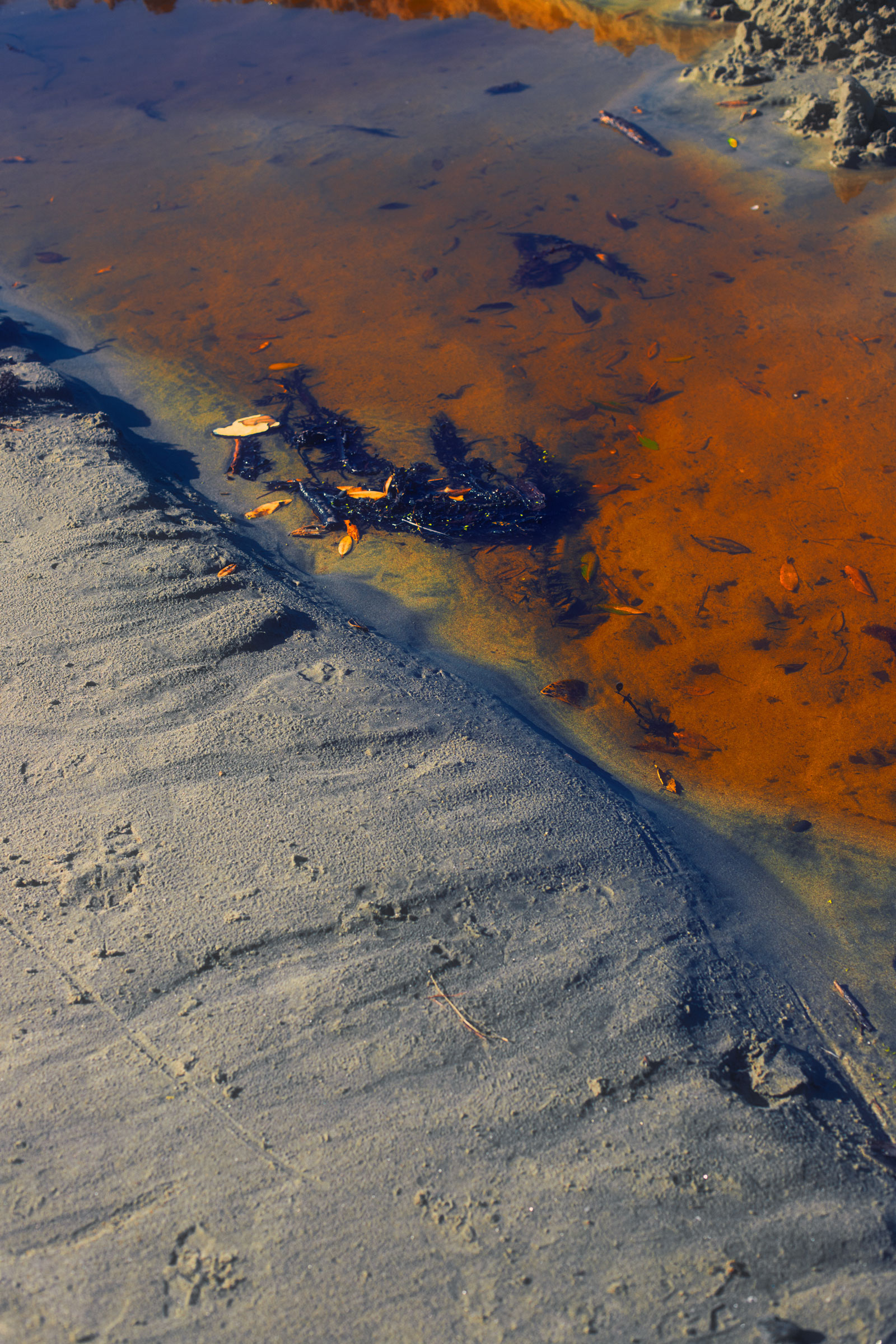 Beach in grey and waters in bright orange, shot and edited by Steph O'Connor