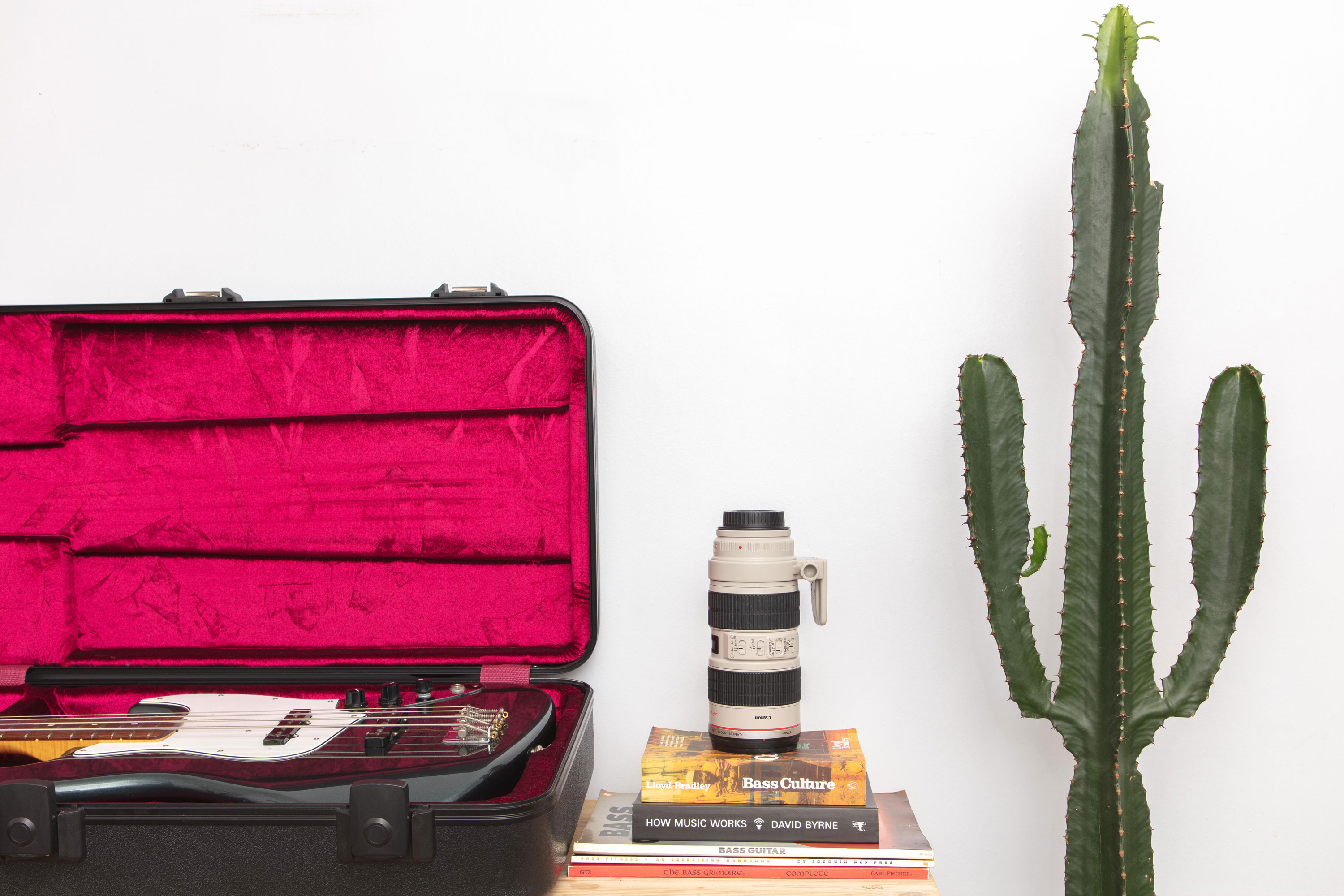 A black and white bass guitar in a pink-lined case next to a cactus and a lens on a stack of books