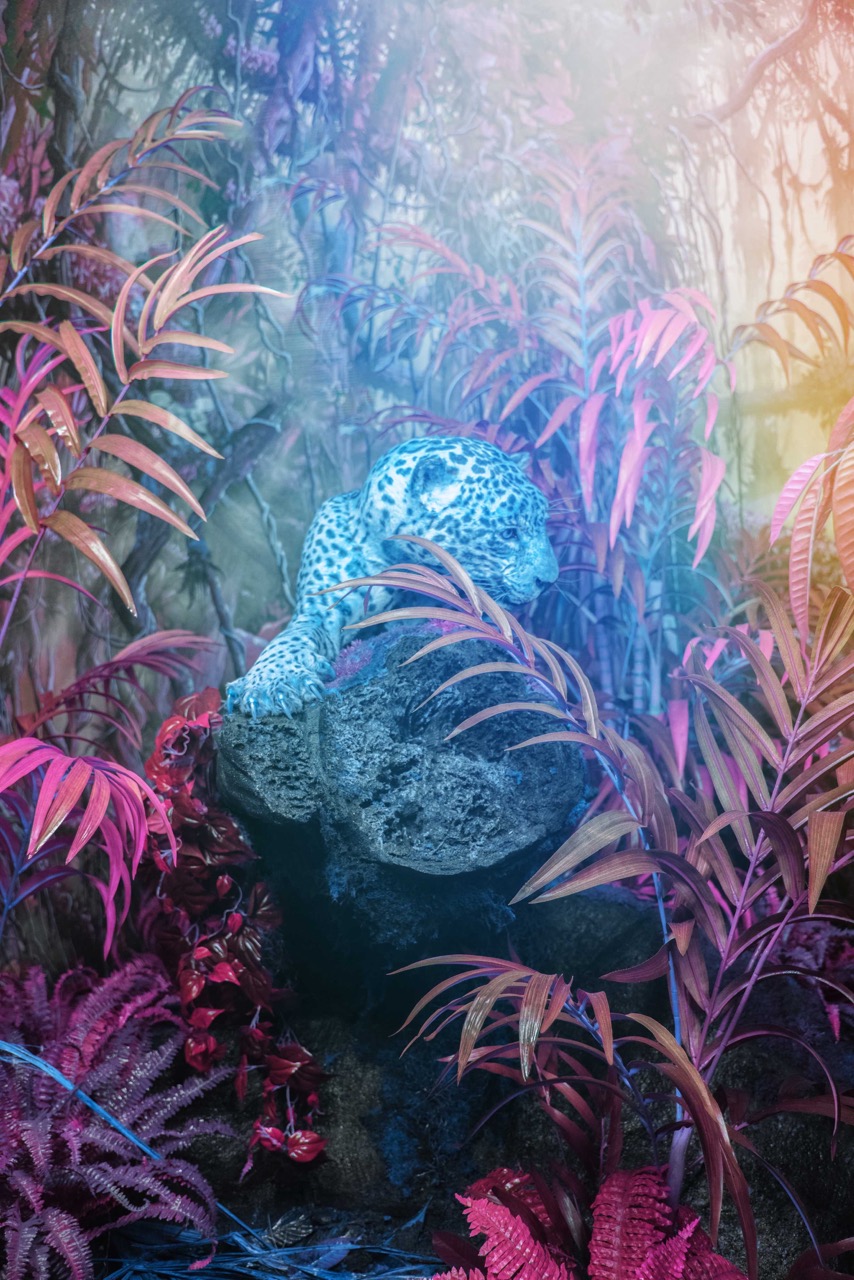 Een roze en paarse manipulatie, een panter omringd door bladeren en bomen. Een werk genaamd De Jungle van kunstenaar Claudia Fuggetti