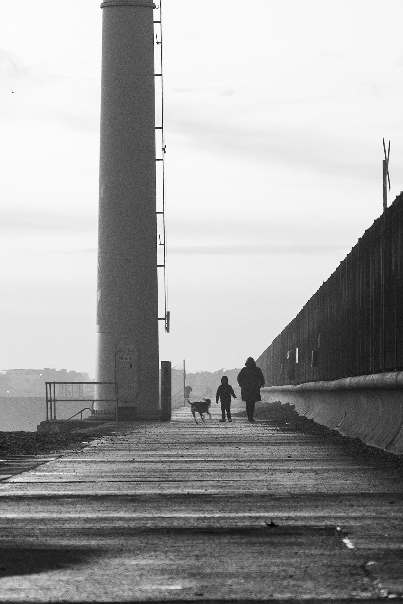 Black and white street scene of a person and child walking a dog along a waterfront path, by Amy Moore
