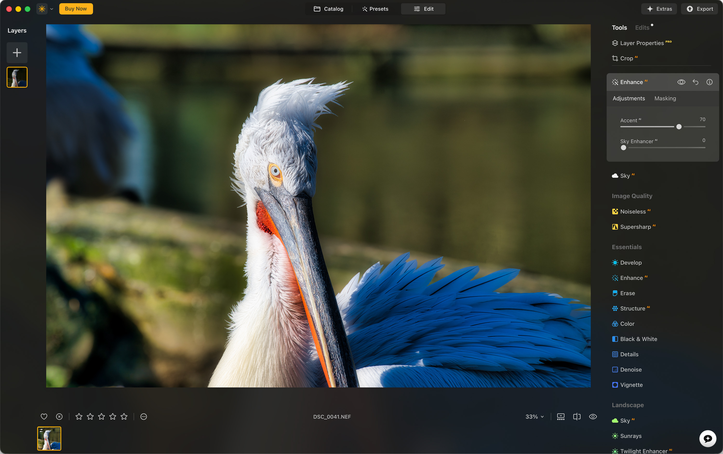 Screenshot von Luminar Neo mit einem Vogelbild von Connor Redmond.