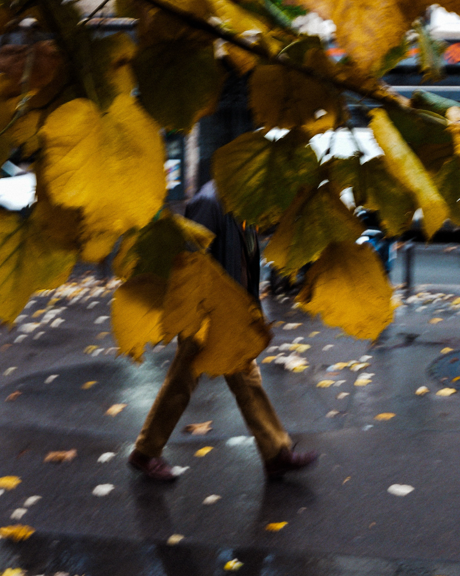 Streetaufnahme einer teilweise von herbstgelben Blättern verdeckten Person, die eine Pariser Straße entlangschlendert. Auf dem Gehweg, verstreute Blätter. Aufgenommen von Wesley Verhoeve mit einer Panasonic Lumix GF1.