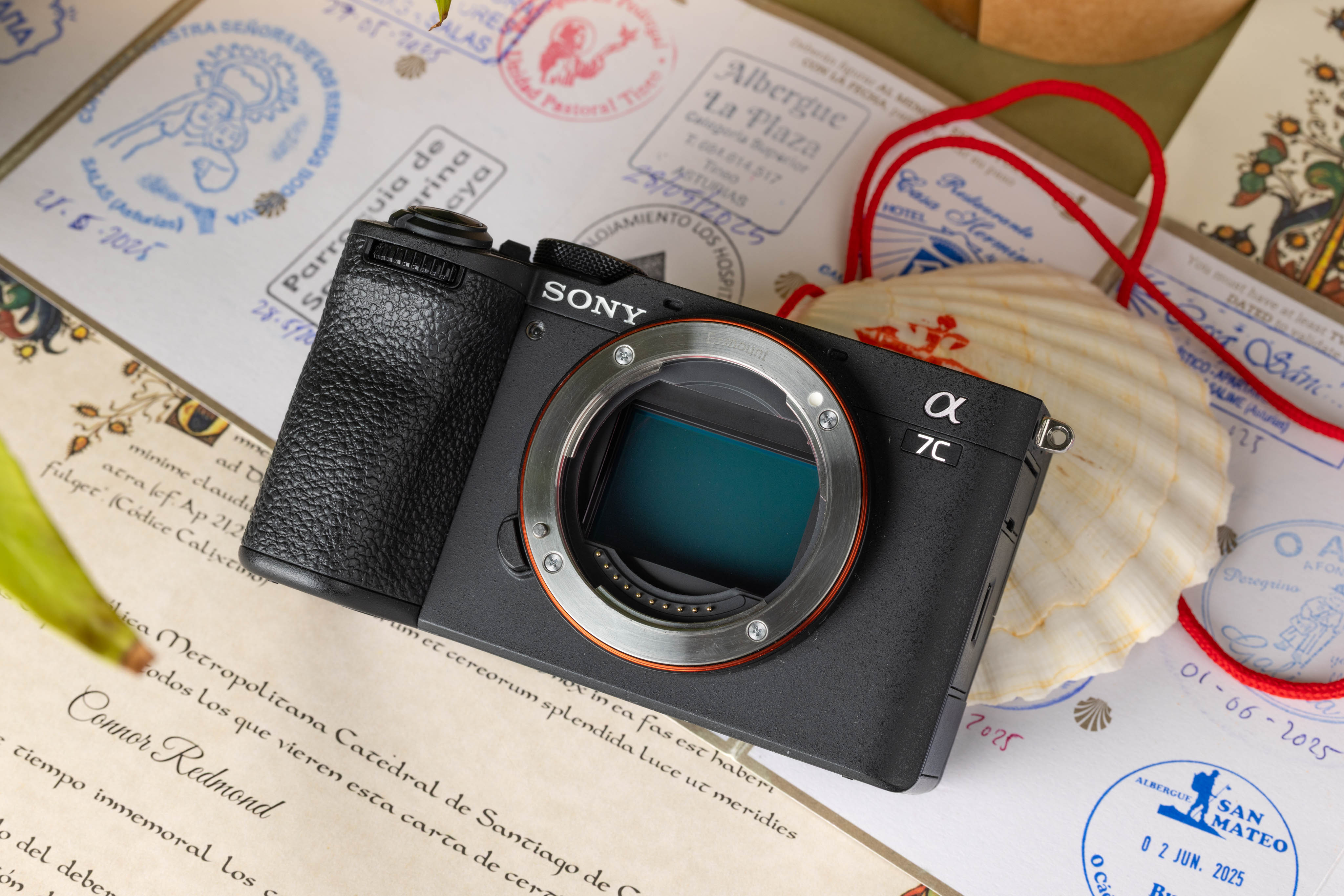 Used Sony A7C II resting on a Camino Shell
