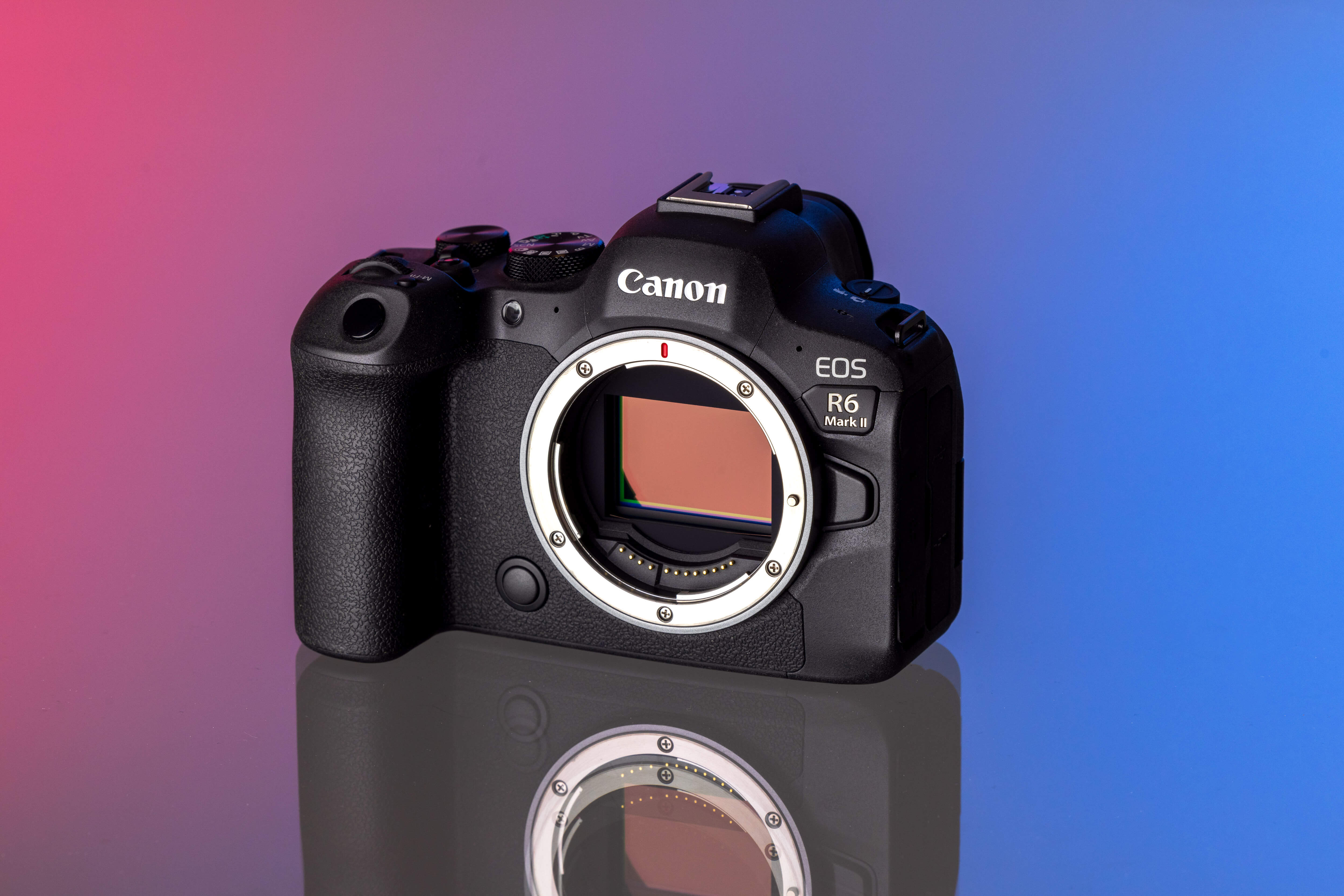 Un appareil photo Canon EOS R6 Mark II sur un fond studio rose et bleu.