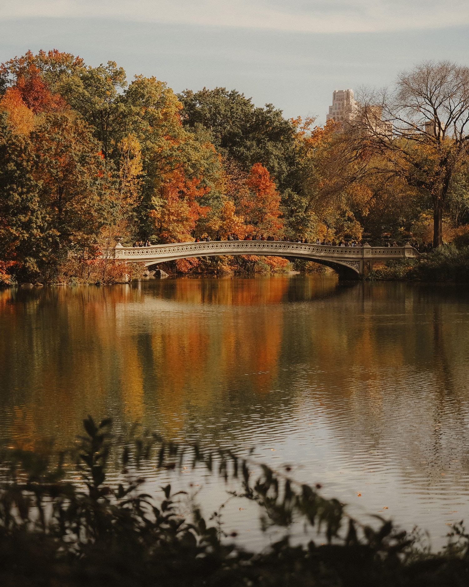 A bridge over a lake in Central Park, with trees in the background. Shot on an Olympus E-M5 III by Georgina Lamrock