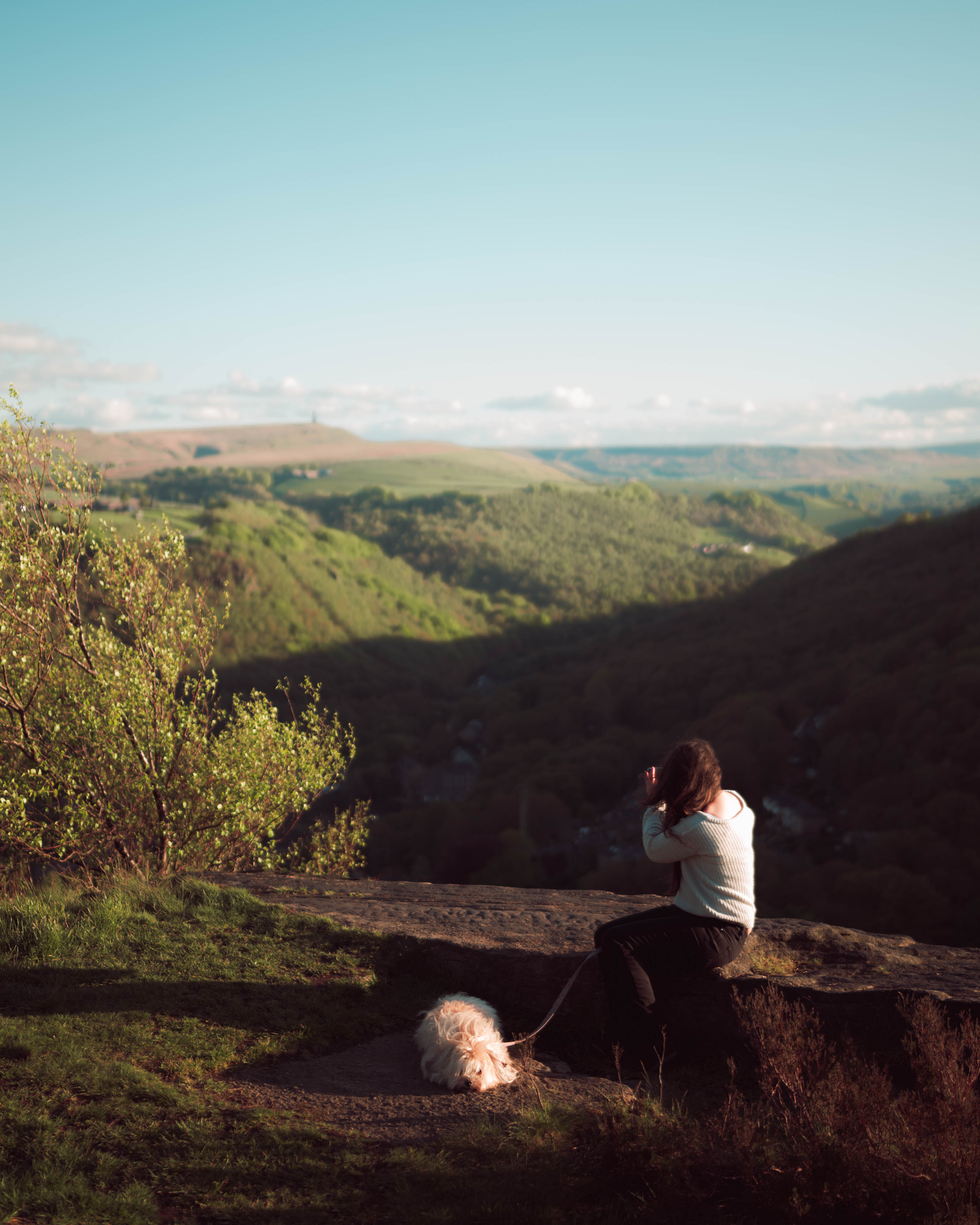 A person on a high hill overlooking a valley taking a picture with a dog beside them