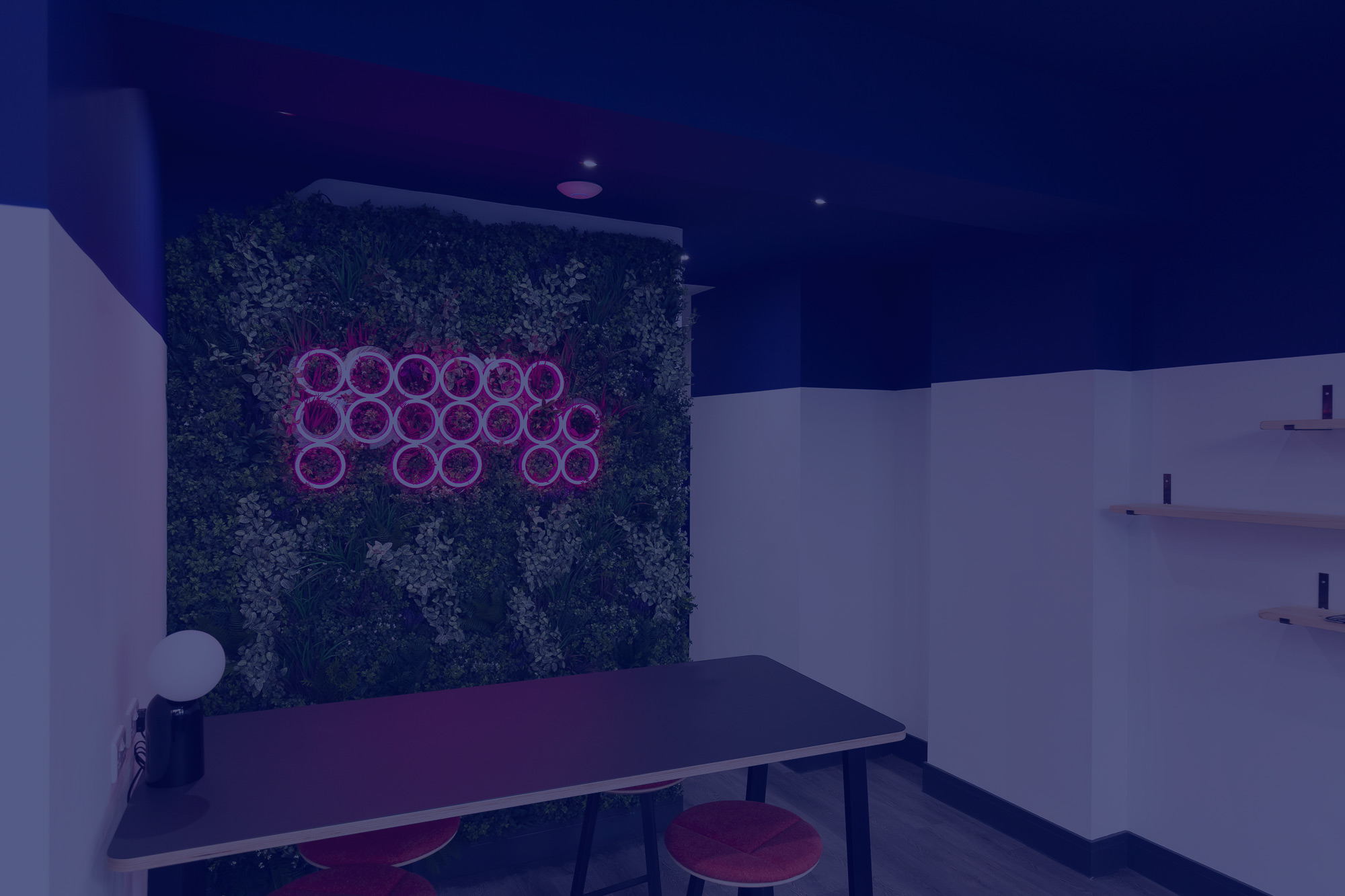MPB reception, blue overlay