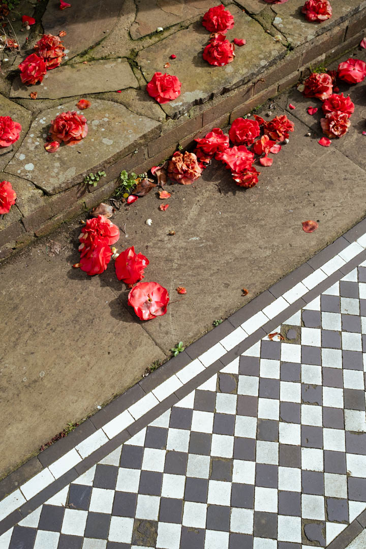 Pétales de rose sur le sol de la rue à côté d'un sol carrelé noir et blanc, par Jakub Golis.