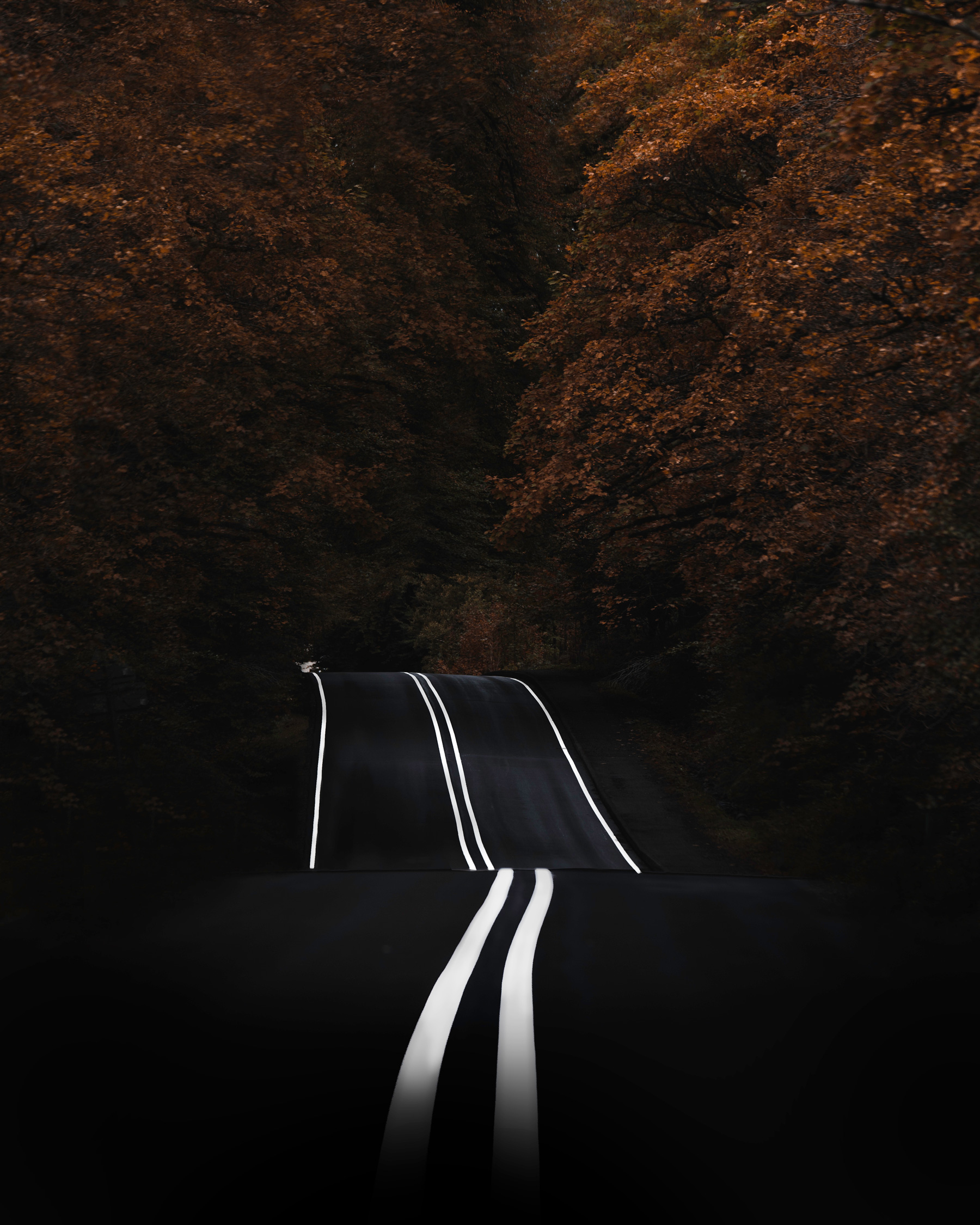 Photo of a road during autumn, the white lines seemingly intersecting on the dark road with orange trees looming overhead