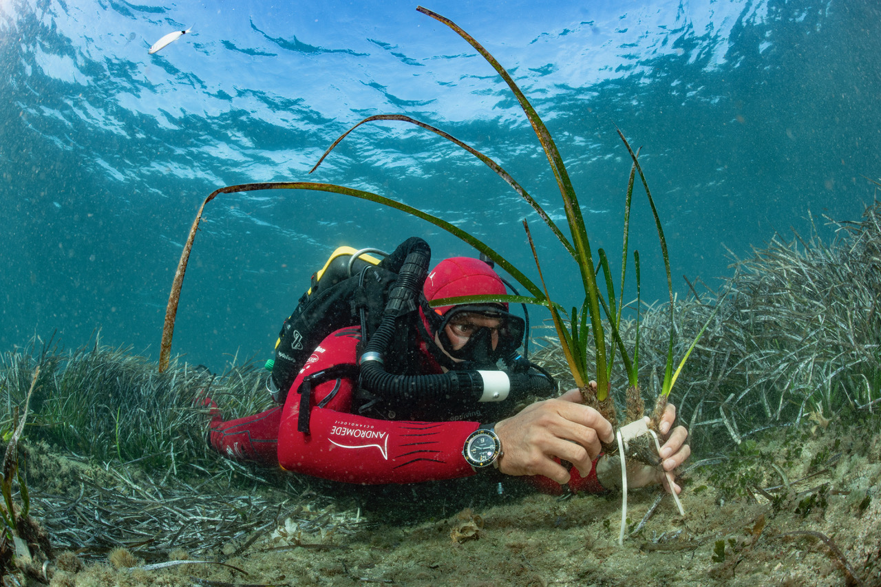 Laurent Ballesta in a dive suit underwater