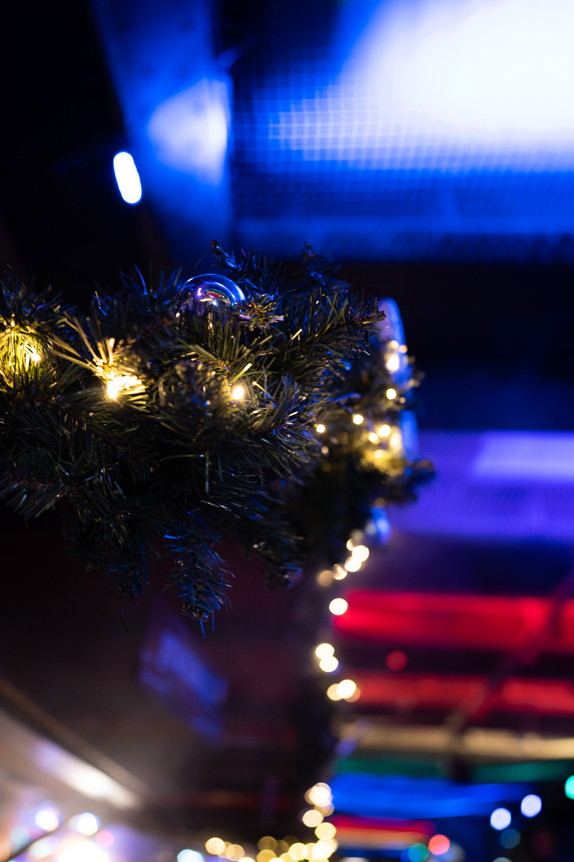 Close-up of fir branches with fairy lights and blurred background, shot on a Sony Alpha A7C and a Sony FE 24mm f/1.4 GM.