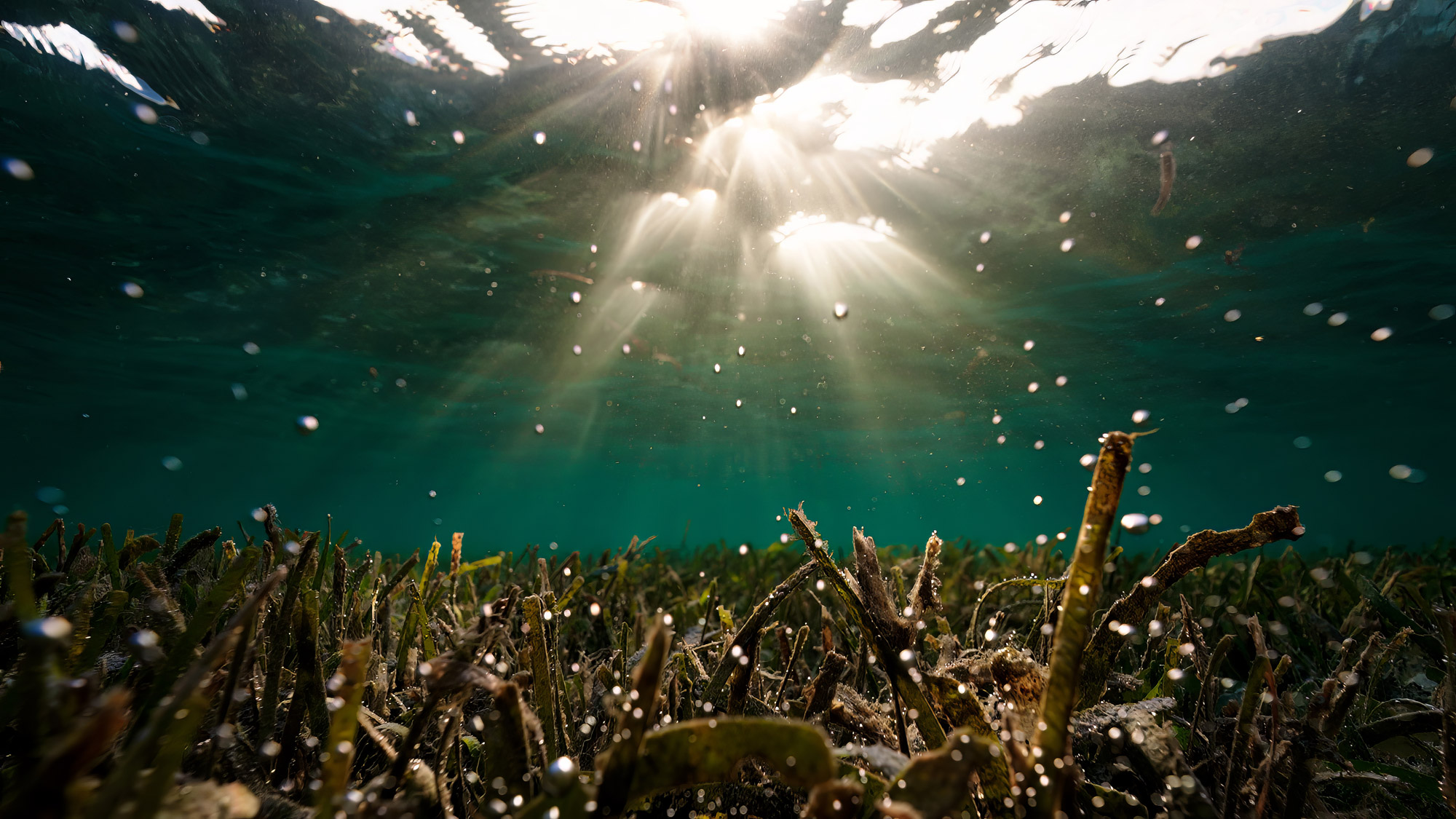 Sonnenstrahlen strahlen durch das Wasser auf ein Korallenriff bei Raja Ampat