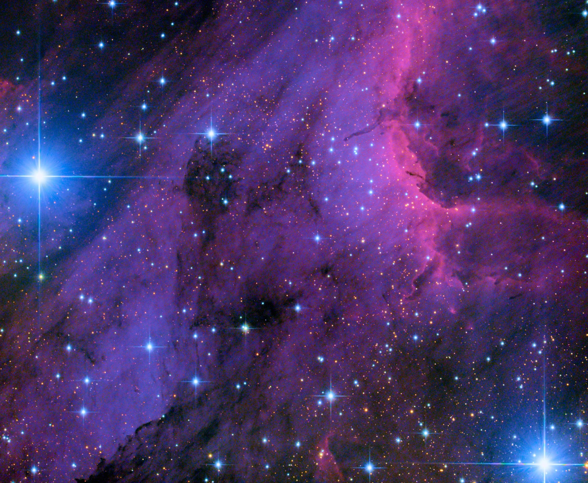 Pelikannebel | Eine Nahaufnahme der Region innerhalb des Sternbilds Cygnus