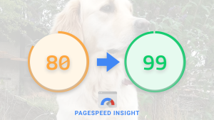 Titelbild zum Blogbeitrag Google PageSpeed Insights 